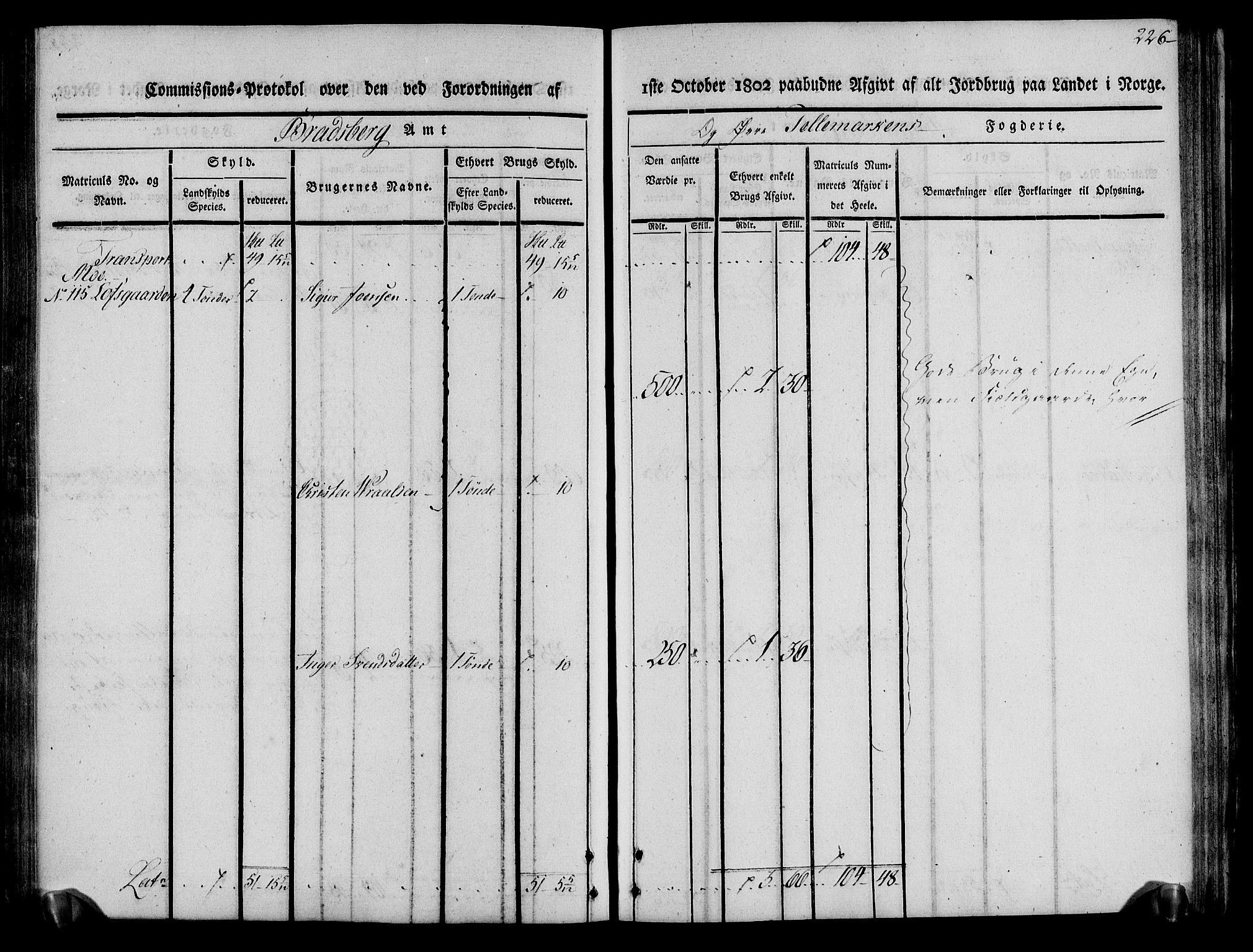 Rentekammeret inntil 1814, Realistisk ordnet avdeling, AV/RA-EA-4070/N/Ne/Nea/L0075: Øvre Telemarken fogderi. Kommisjonsprotokoll for fogderiets vestre del - Kviteseid, Vinje, Moland [):Fyresdal] og Lårdal prestegjeld., 1803, p. 228