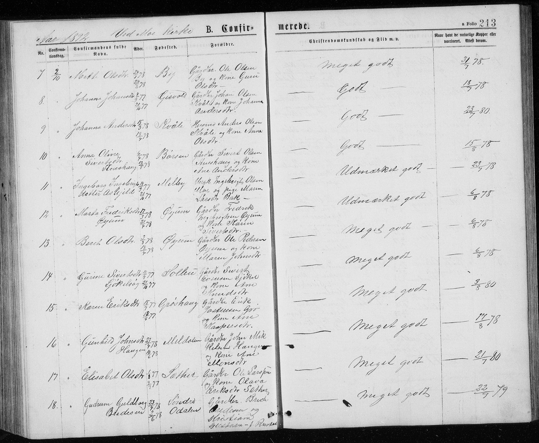 Ministerialprotokoller, klokkerbøker og fødselsregistre - Sør-Trøndelag, SAT/A-1456/671/L0843: Parish register (copy) no. 671C02, 1873-1892, p. 213