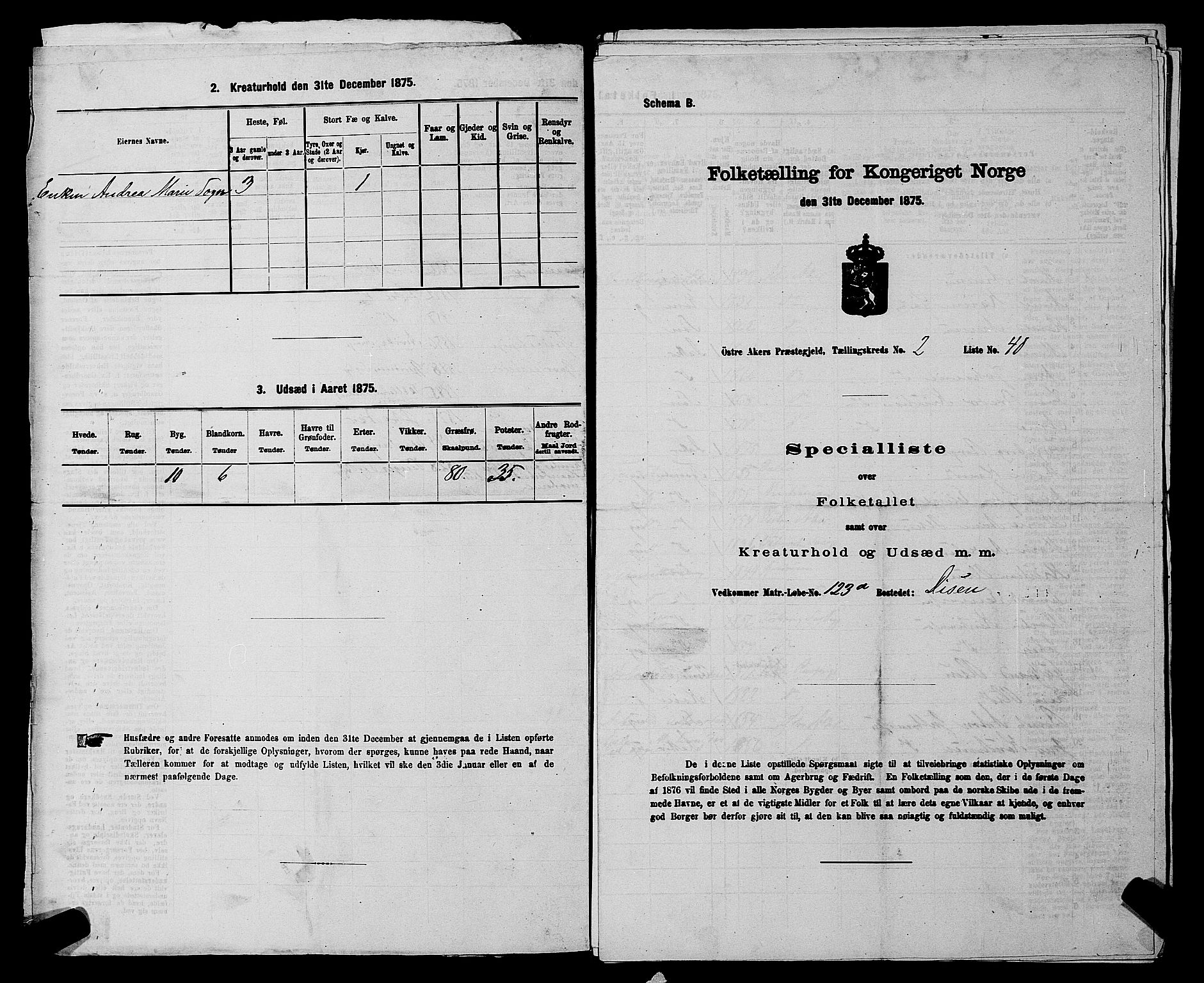 RA, 1875 census for 0218bP Østre Aker, 1875, p. 924