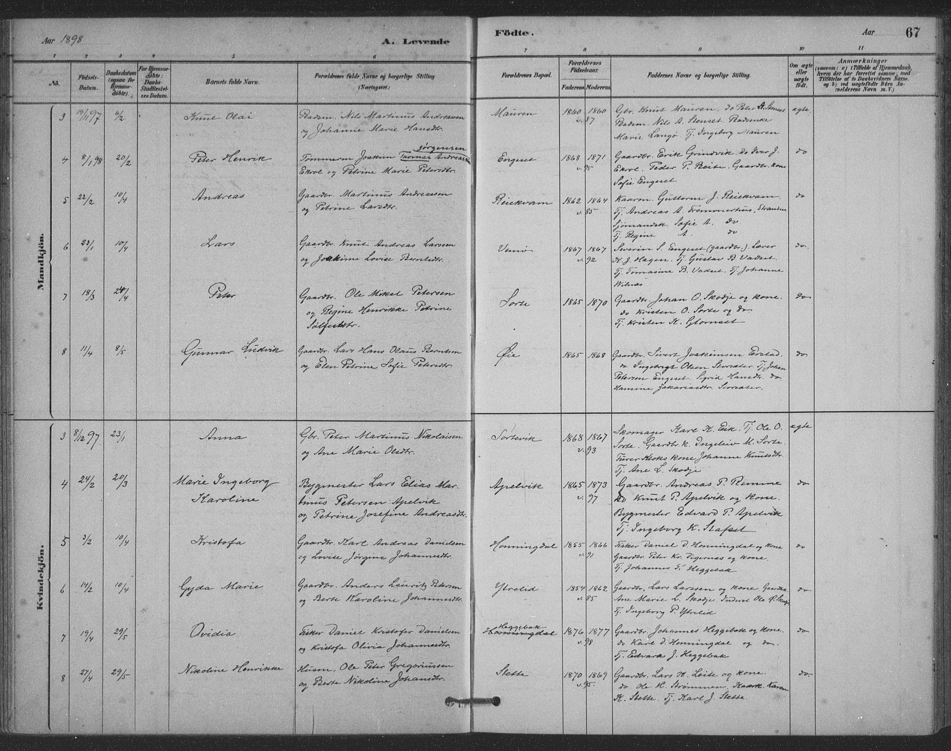 Ministerialprotokoller, klokkerbøker og fødselsregistre - Møre og Romsdal, AV/SAT-A-1454/524/L0356: Parish register (official) no. 524A08, 1880-1899, p. 67