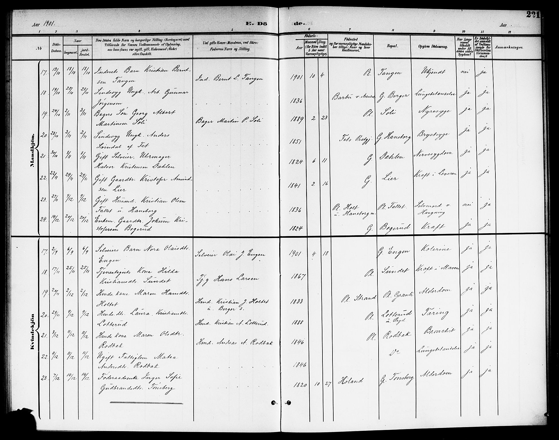 Aurskog prestekontor Kirkebøker, AV/SAO-A-10304a/G/Ga/L0004: Parish register (copy) no. I 4, 1901-1921, p. 221