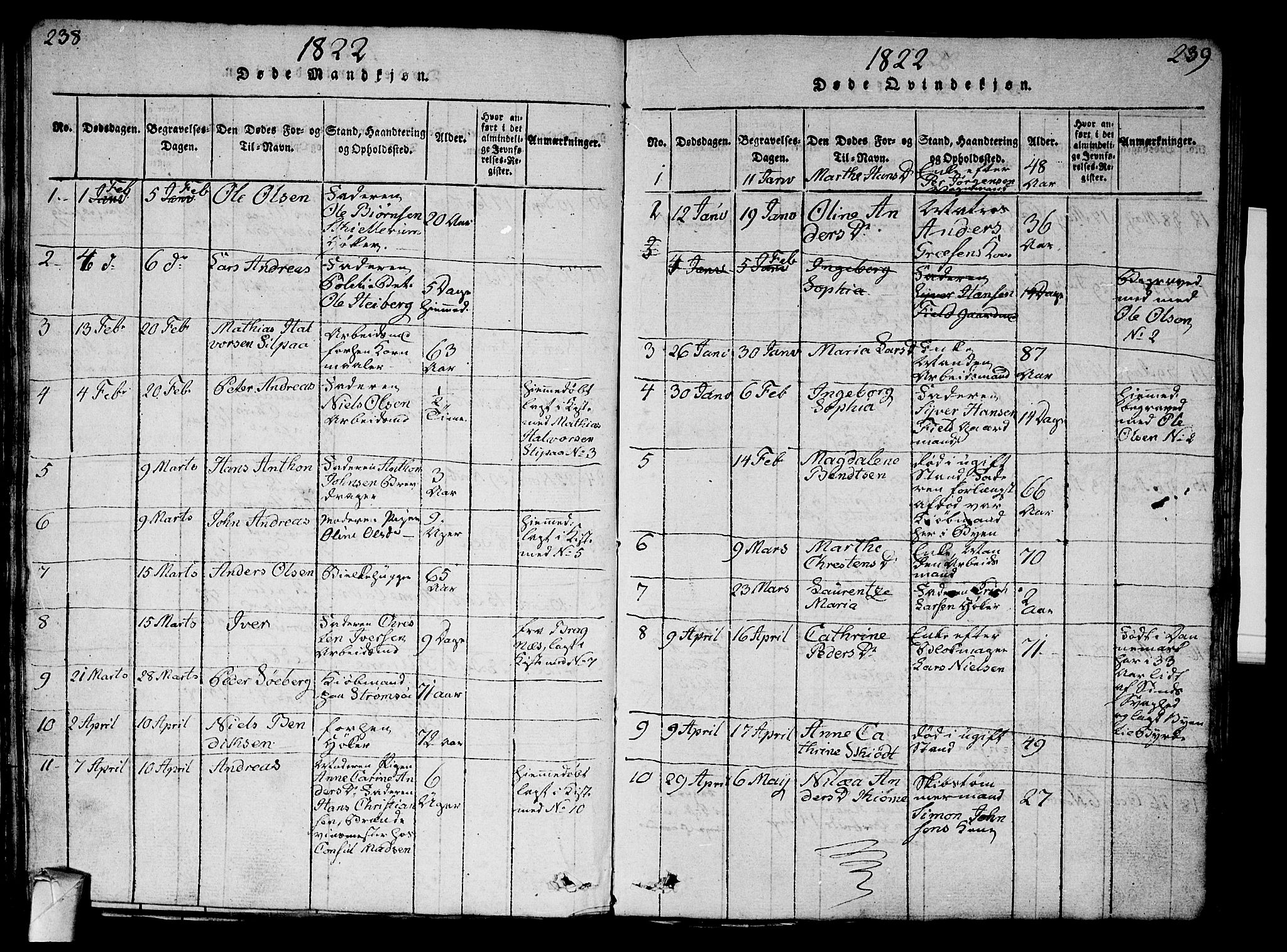 Strømsø kirkebøker, AV/SAKO-A-246/G/Ga/L0001: Parish register (copy) no. 1, 1815-1829, p. 238-239