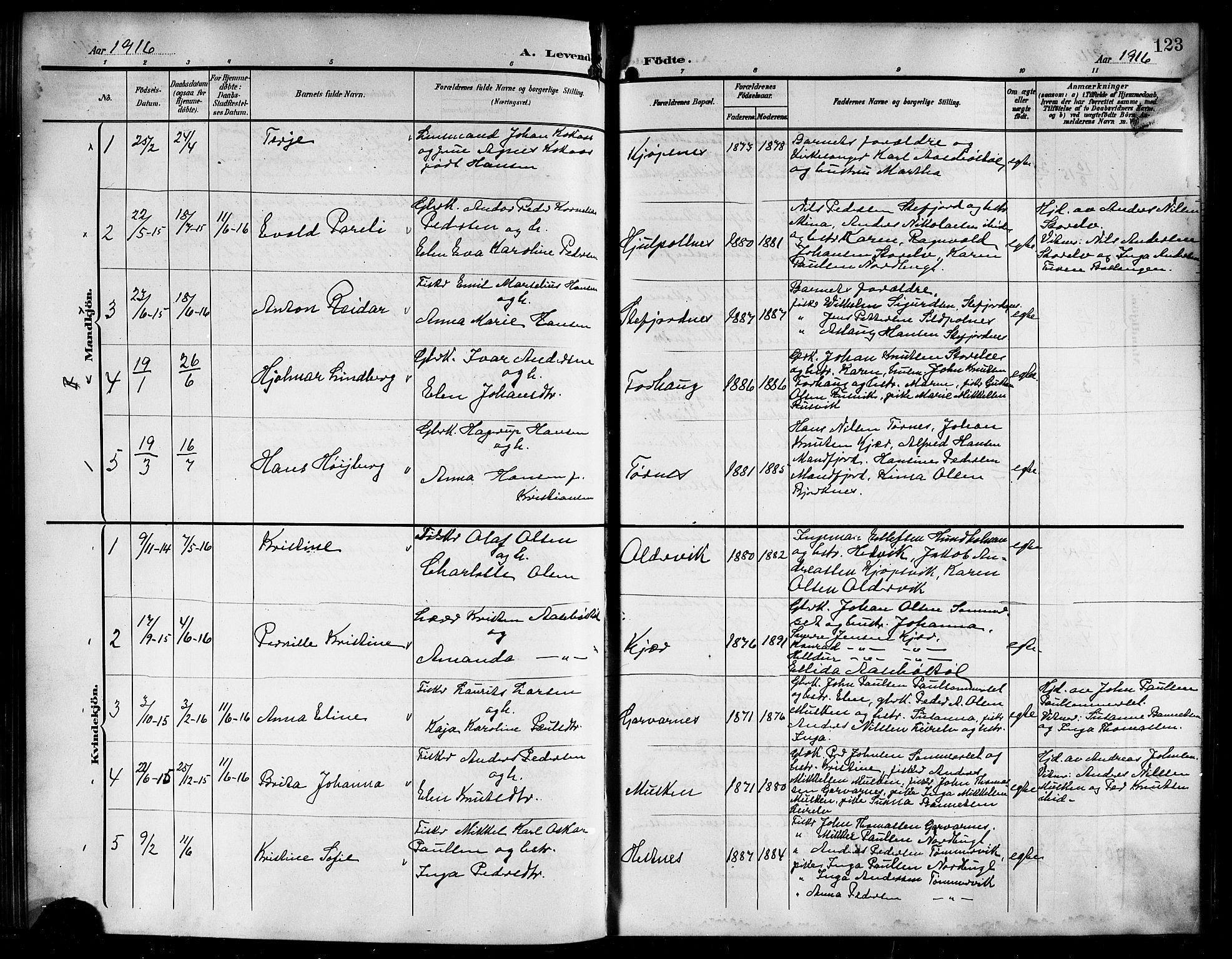 Ministerialprotokoller, klokkerbøker og fødselsregistre - Nordland, AV/SAT-A-1459/861/L0877: Parish register (copy) no. 861C03, 1903-1919, p. 123