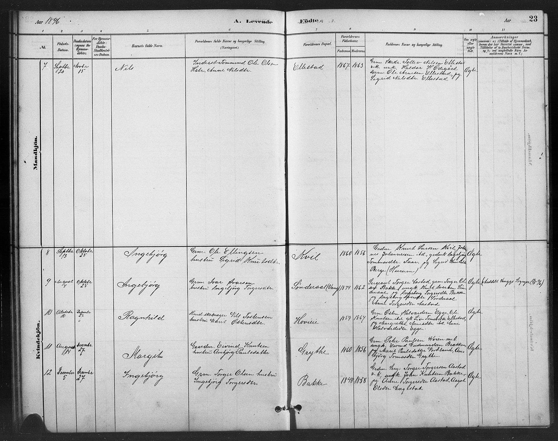 Vestre Slidre prestekontor, AV/SAH-PREST-136/H/Ha/Hab/L0006: Parish register (copy) no. 6, 1881-1915, p. 23