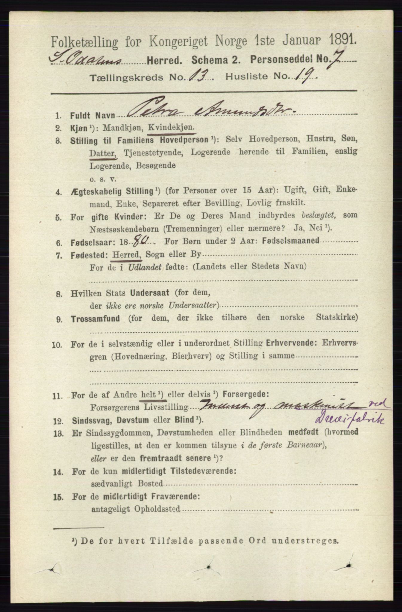 RA, 1891 census for 0419 Sør-Odal, 1891, p. 5699