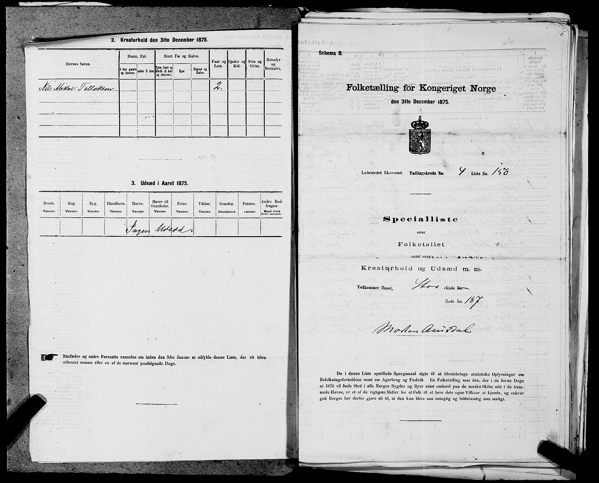 SAST, 1875 census for 1101B Eigersund parish, Egersund town, 1875, p. 319