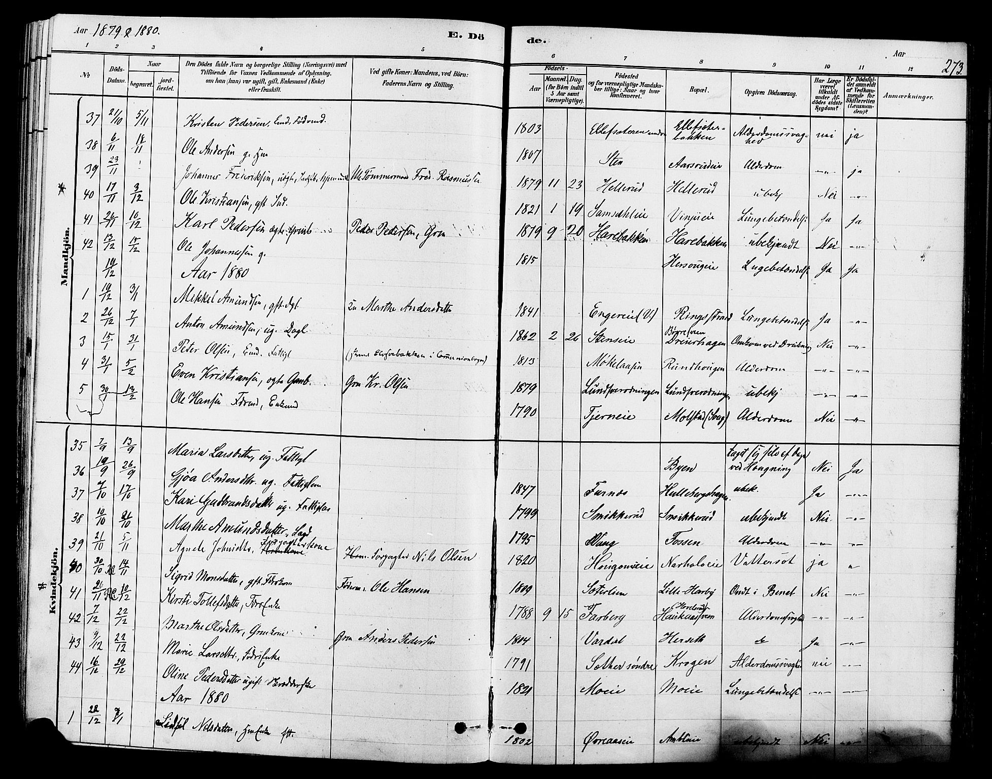 Ringsaker prestekontor, AV/SAH-PREST-014/L/La/L0009: Parish register (copy) no. 9, 1879-1890, p. 273