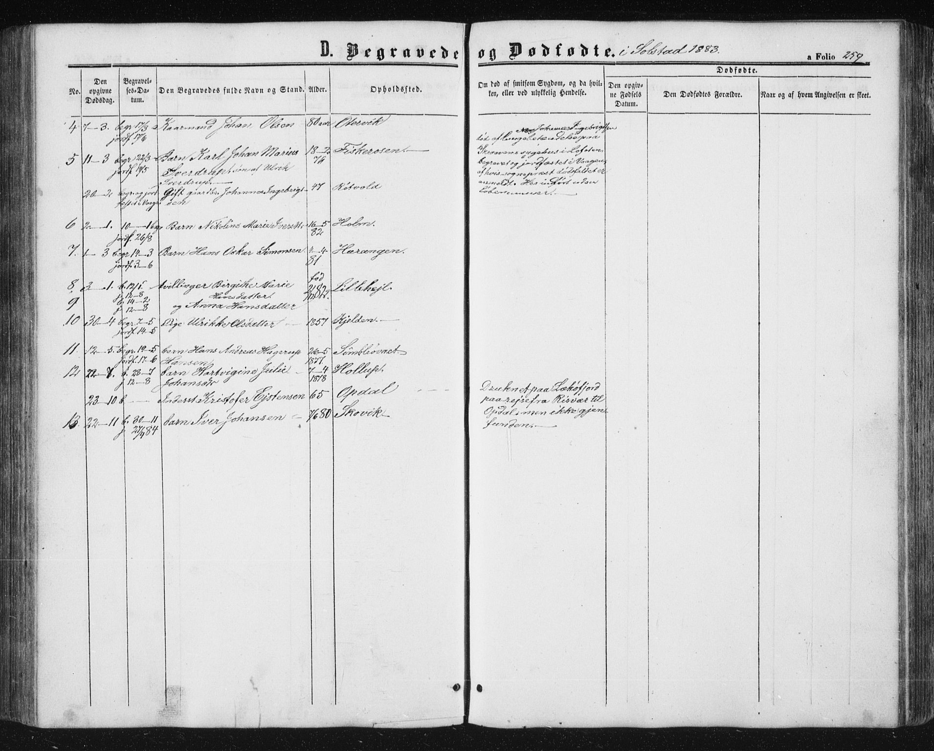 Ministerialprotokoller, klokkerbøker og fødselsregistre - Nordland, SAT/A-1459/810/L0159: Parish register (copy) no. 810C02 /2, 1863-1883, p. 259