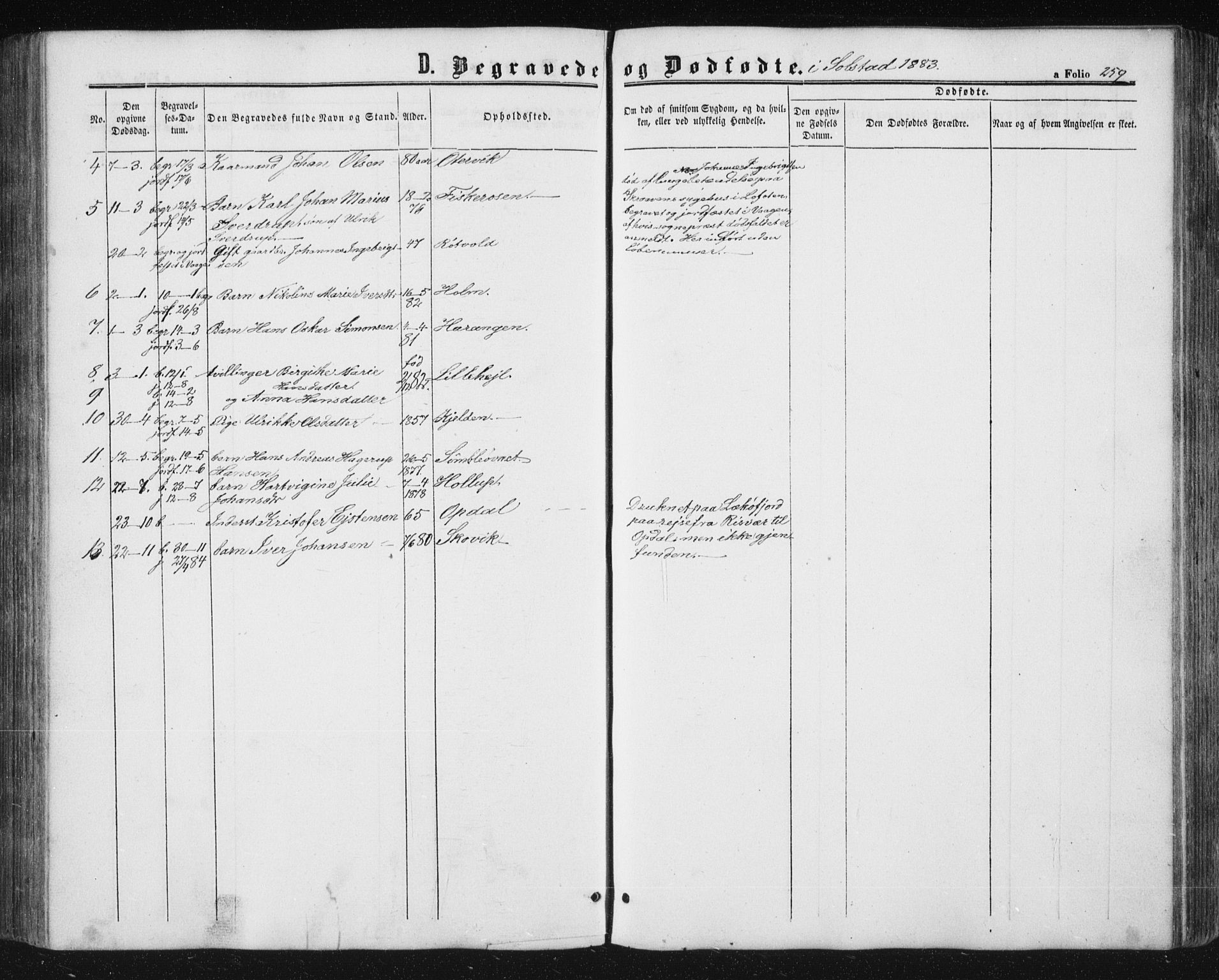 Ministerialprotokoller, klokkerbøker og fødselsregistre - Nordland, AV/SAT-A-1459/810/L0159: Parish register (copy) no. 810C02 /2, 1863-1883, p. 259