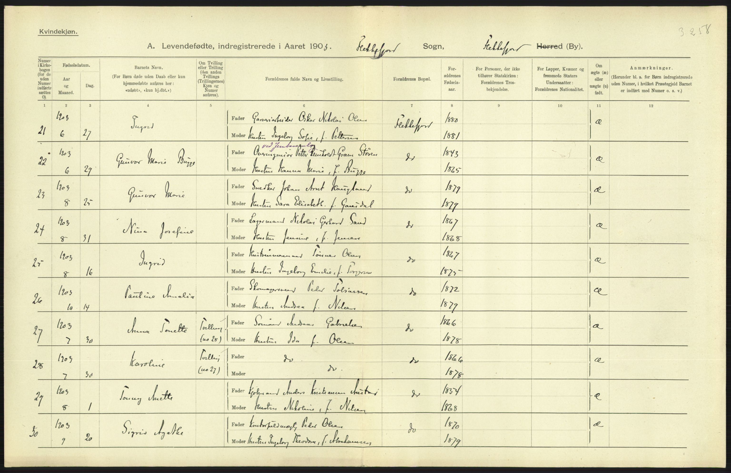 Statistisk sentralbyrå, Sosiodemografiske emner, Befolkning, AV/RA-S-2228/D/Df/Dfa/Dfaa/L0011: Lister og Mandal amt: Fødte, gifte, døde, 1903, p. 223