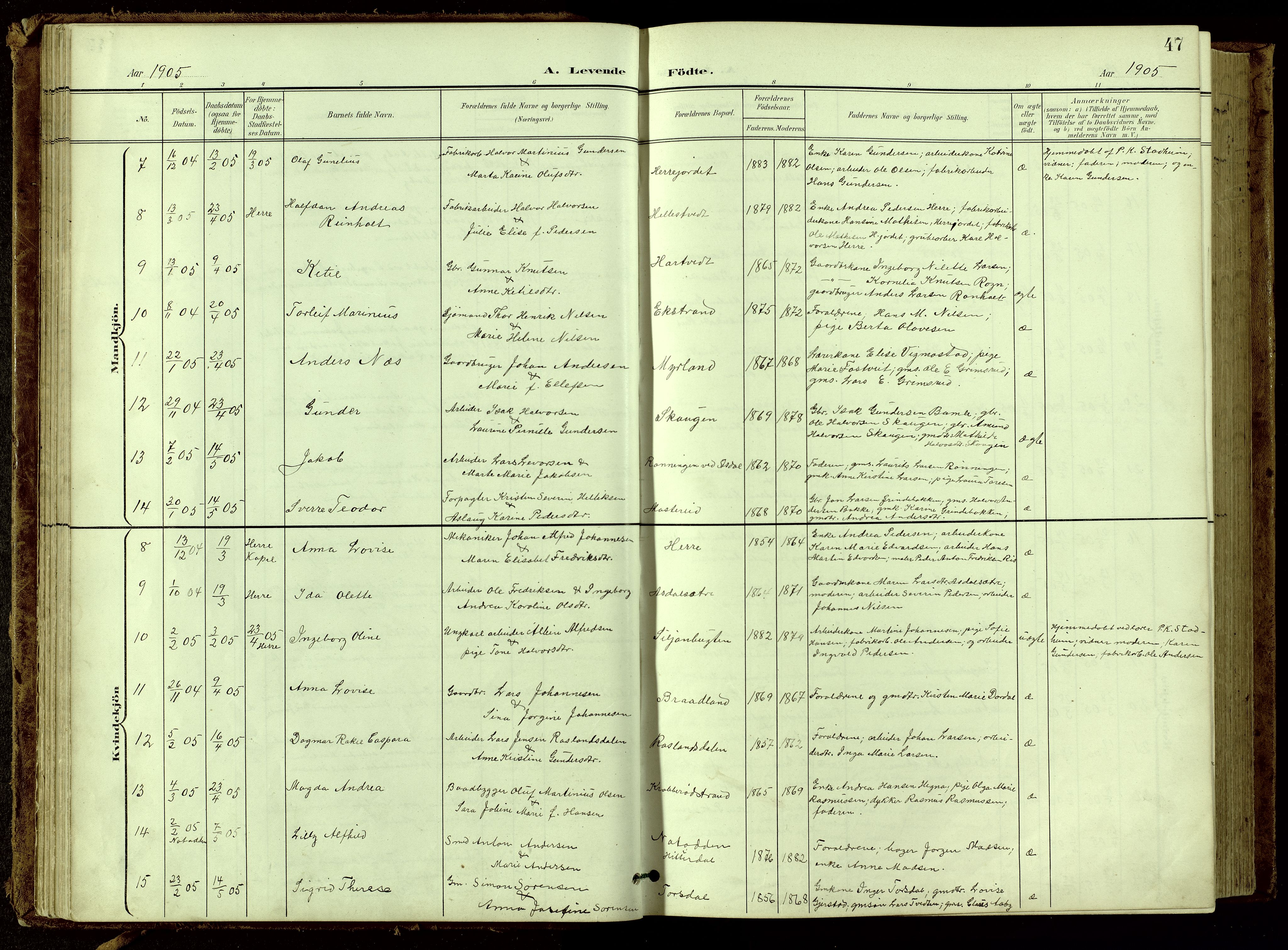 Bamble kirkebøker, SAKO/A-253/G/Ga/L0010: Parish register (copy) no. I 10, 1901-1919, p. 47
