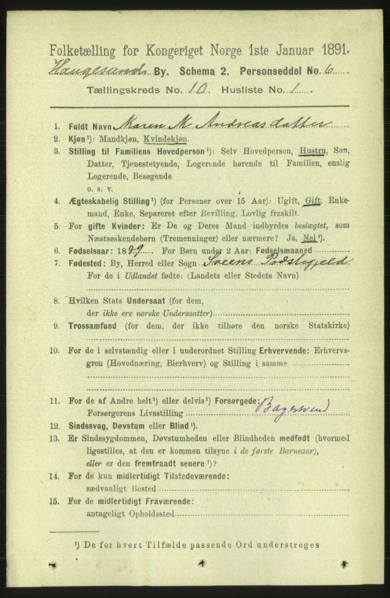 RA, 1891 census for 1106 Haugesund, 1891, p. 3736