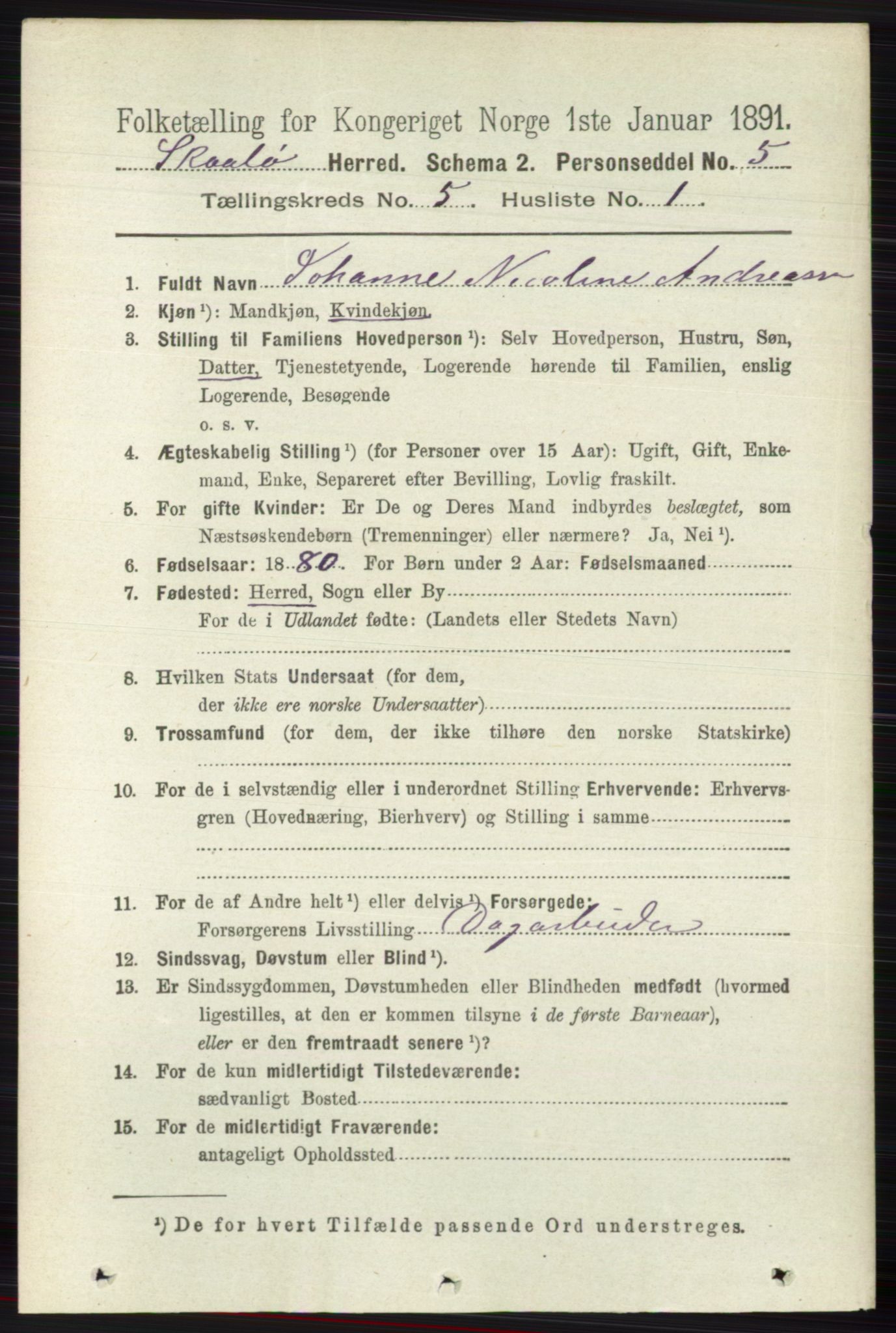 RA, 1891 census for 0815 Skåtøy, 1891, p. 1921