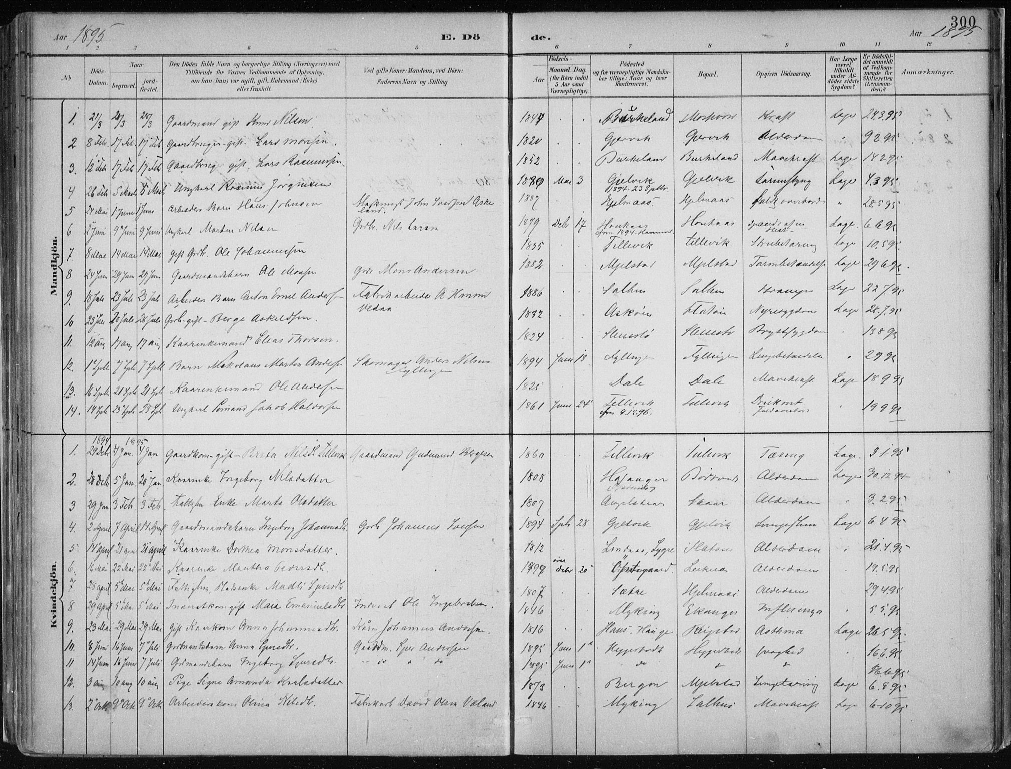 Hamre sokneprestembete, SAB/A-75501/H/Ha/Haa/Haab/L0001: Parish register (official) no. B  1, 1882-1905, p. 300