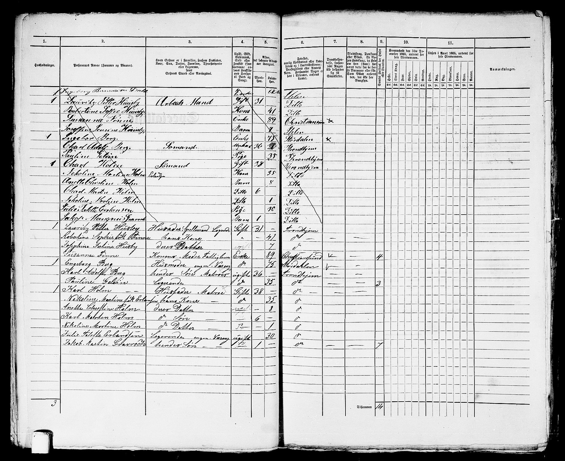 RA, 1865 census for Trondheim, 1865, p. 2160