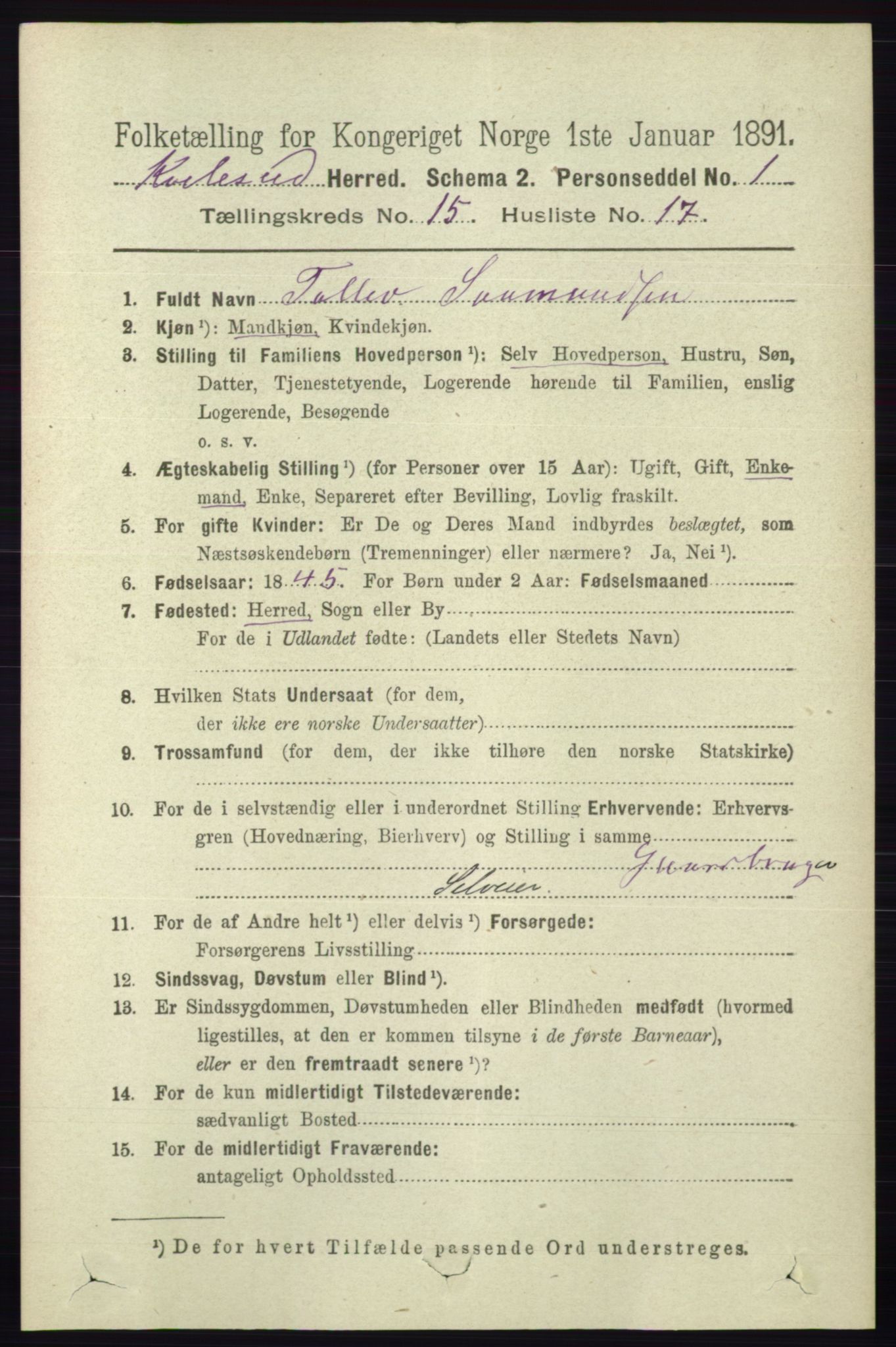 RA, 1891 census for 0829 Kviteseid, 1891, p. 3605