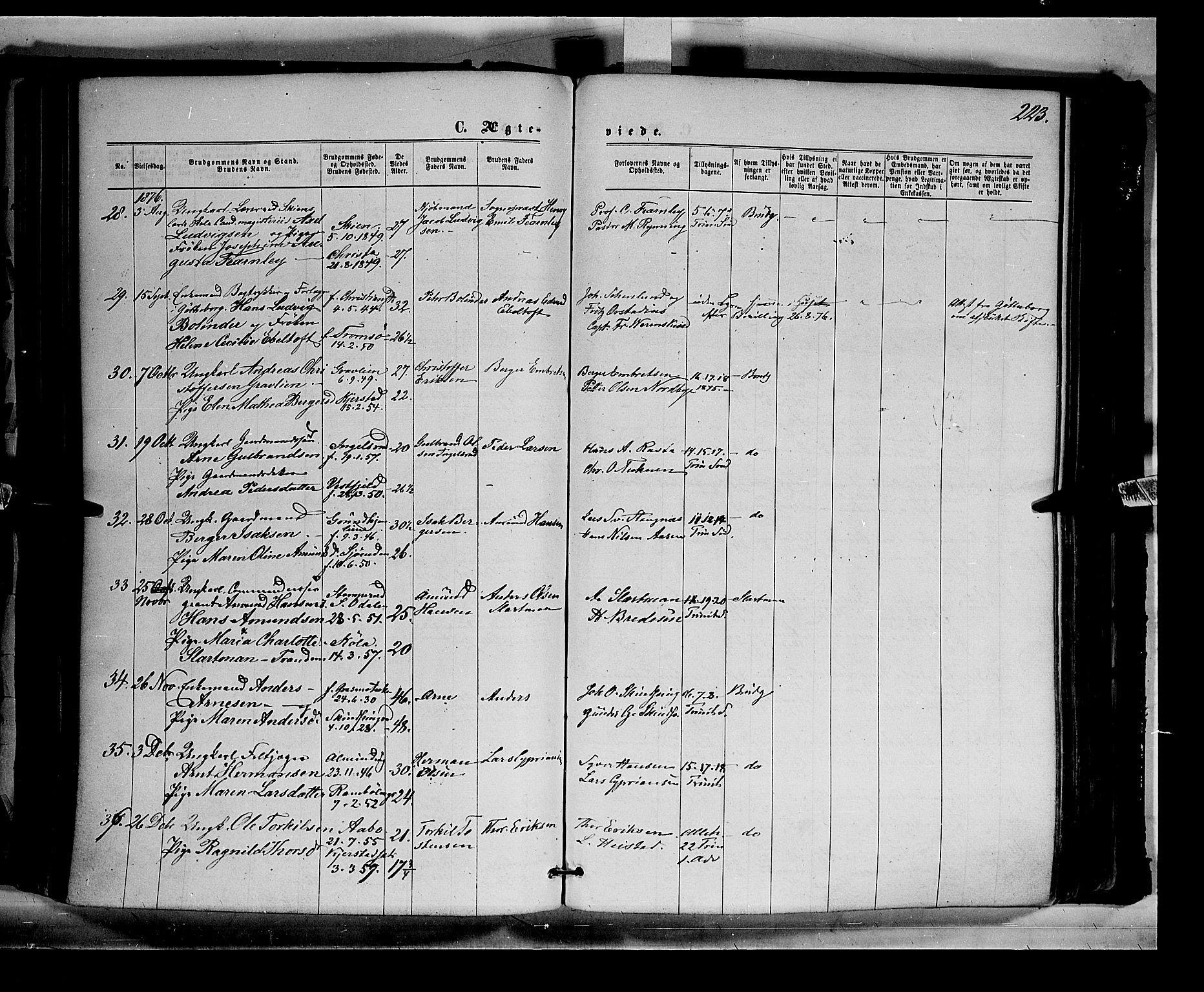 Eidskog prestekontor, AV/SAH-PREST-026/H/Ha/Haa/L0002: Parish register (official) no. 2, 1867-1878, p. 223