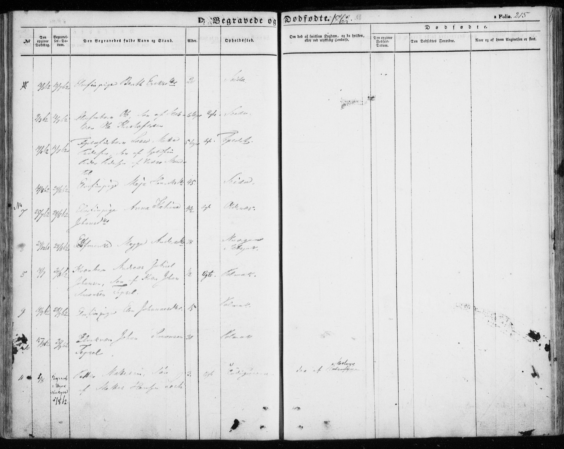 Nesseby sokneprestkontor, SATØ/S-1330/H/Ha/L0002kirke: Parish register (official) no. 2, 1856-1864, p. 215