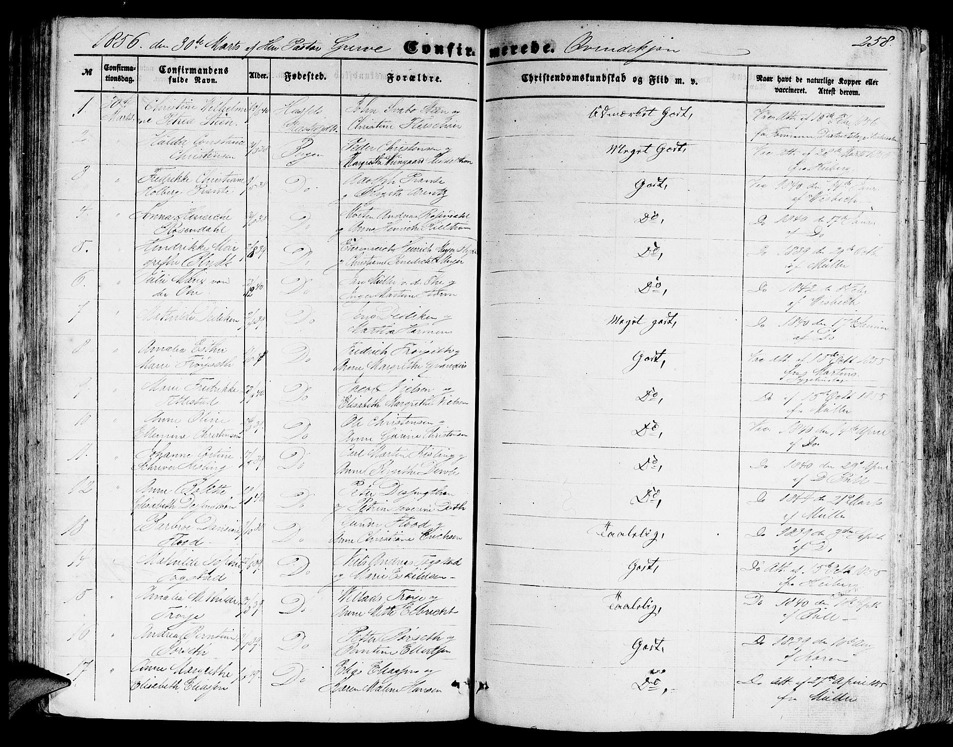 Domkirken sokneprestembete, SAB/A-74801/H/Hab/L0023: Parish register (copy) no. C 3, 1854-1880, p. 258