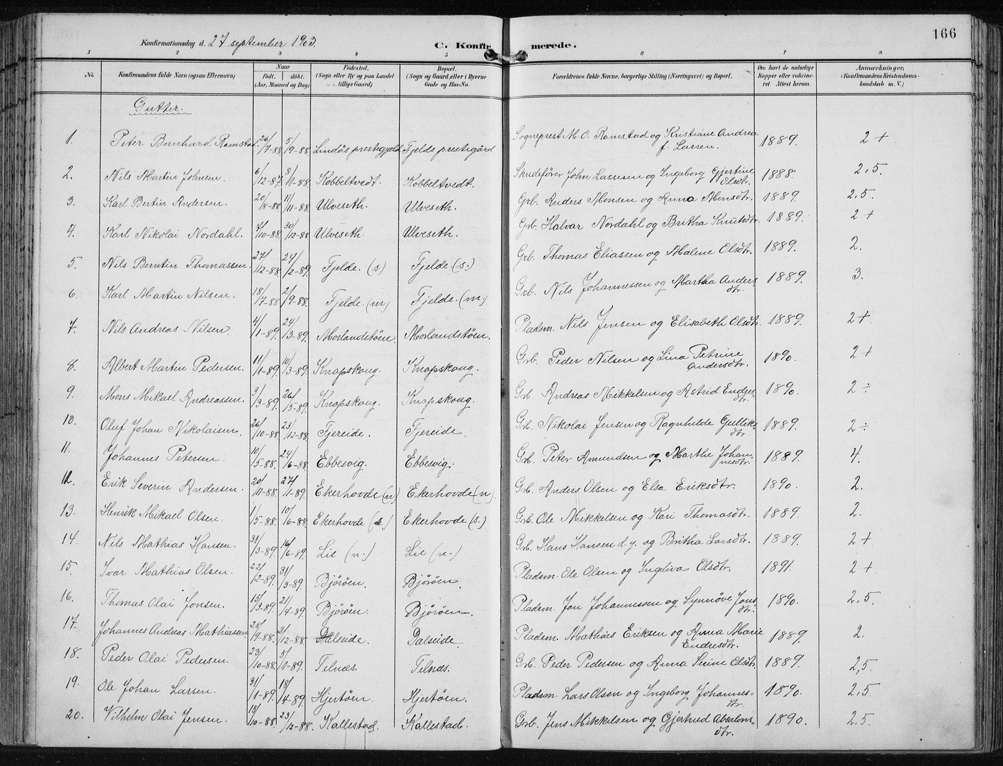 Fjell sokneprestembete, SAB/A-75301/H/Haa: Parish register (official) no. A  9, 1899-1910, p. 166
