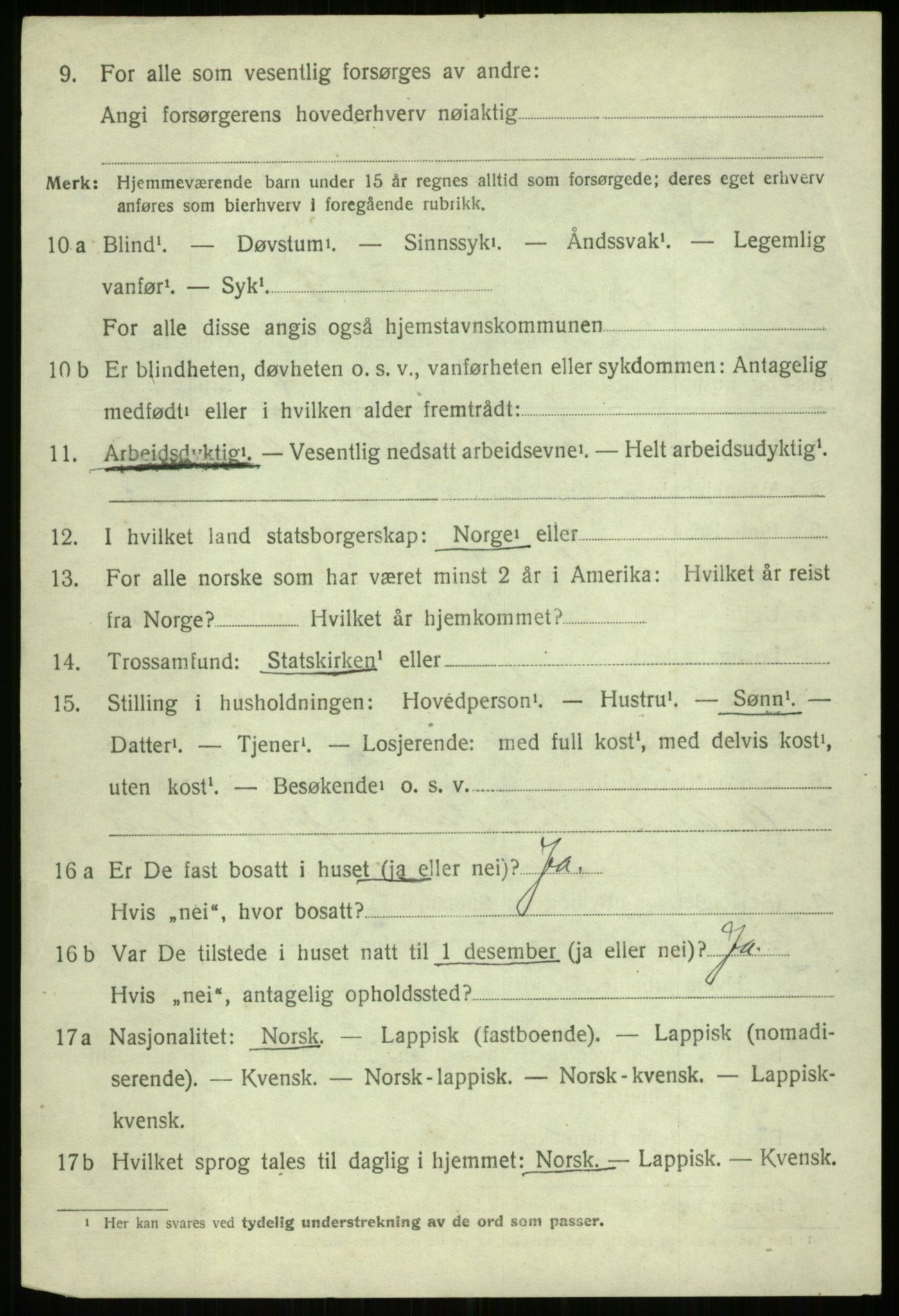 SATØ, 1920 census for Ibestad, 1920, p. 8705