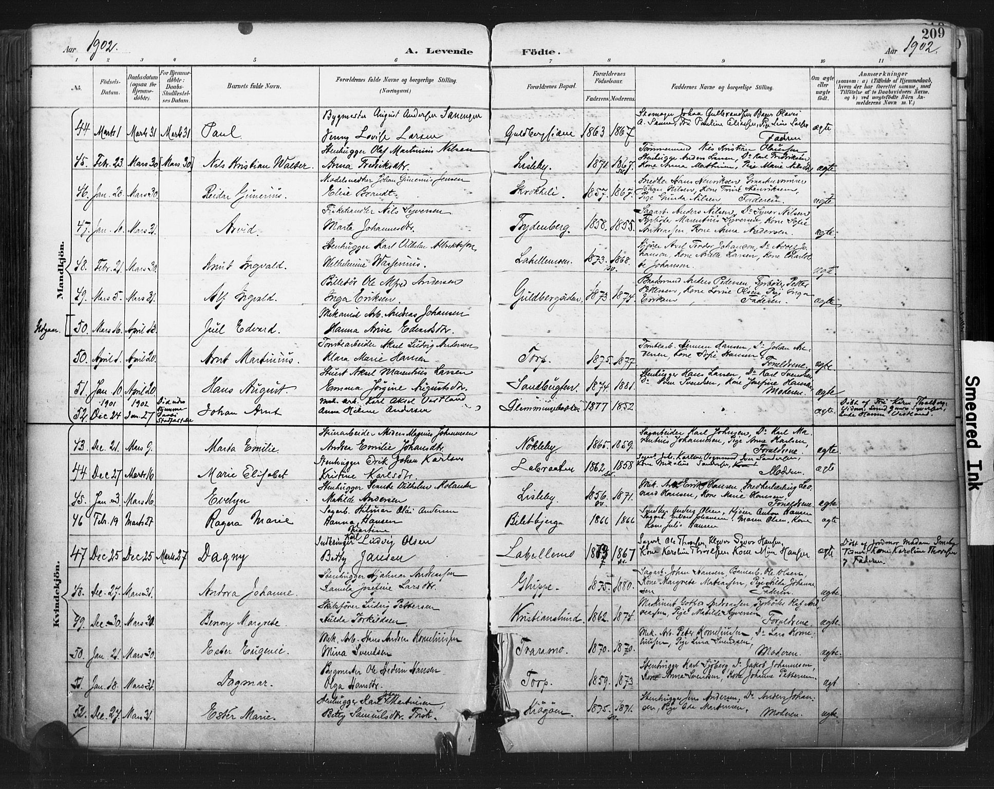 Glemmen prestekontor Kirkebøker, SAO/A-10908/F/Fa/L0013: Parish register (official) no. 13, 1892-1907, p. 209