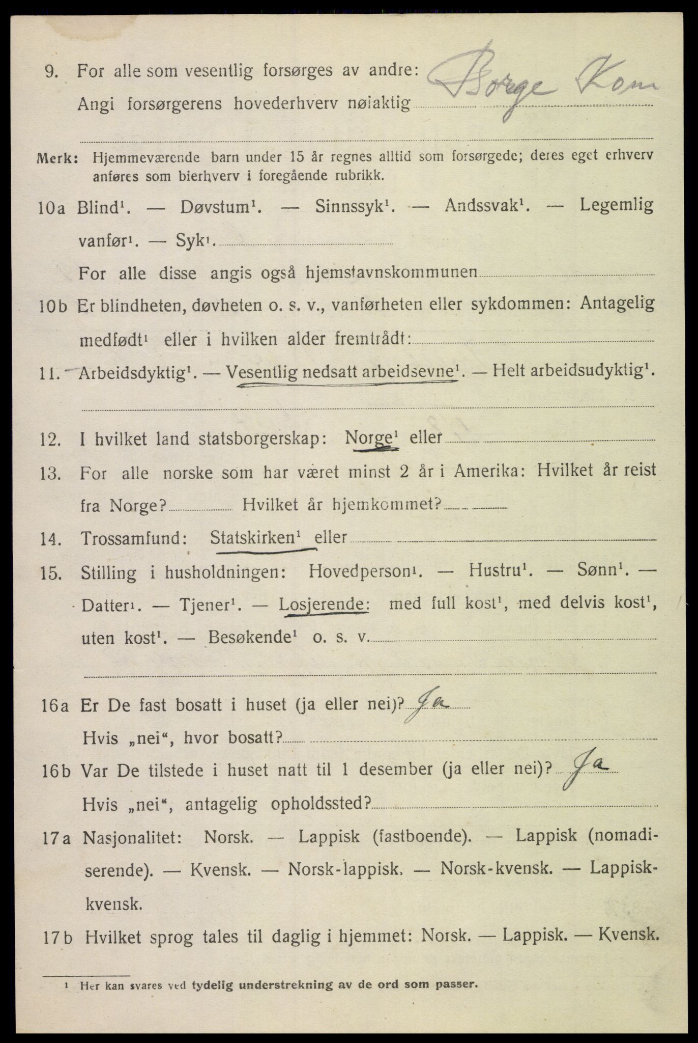 SAT, 1920 census for Borge, 1920, p. 10618