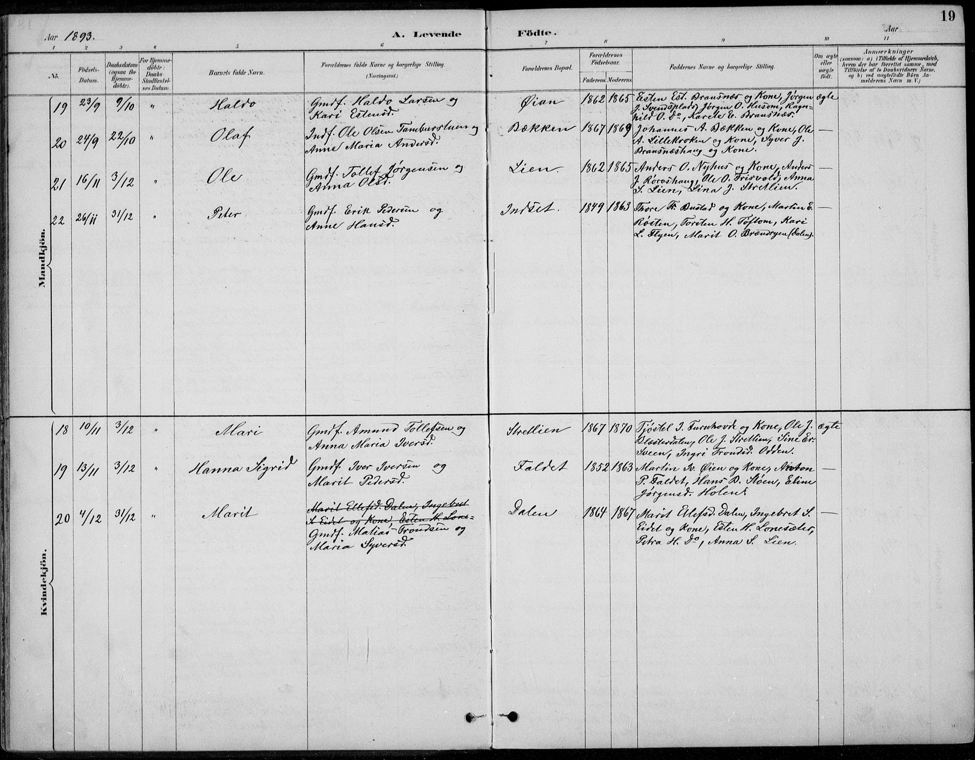 Alvdal prestekontor, AV/SAH-PREST-060/H/Ha/Haa/L0003: Parish register (official) no. 3, 1886-1912, p. 19