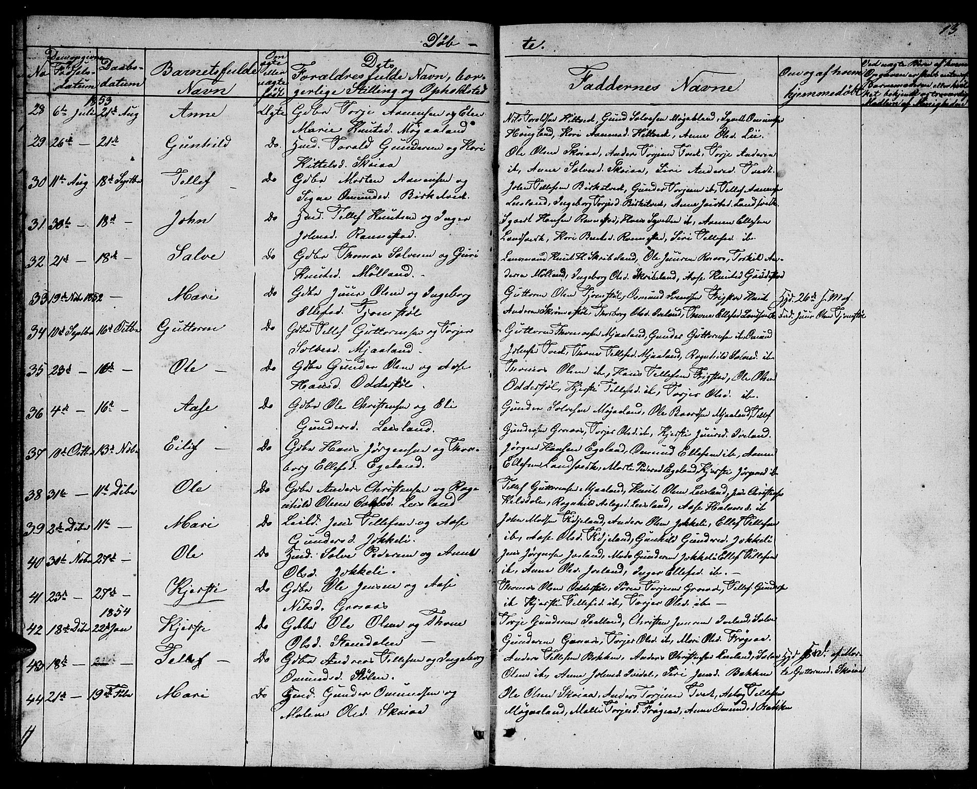 Evje sokneprestkontor, AV/SAK-1111-0008/F/Fb/Fbc/L0002: Parish register (copy) no. B 2, 1849-1876, p. 13