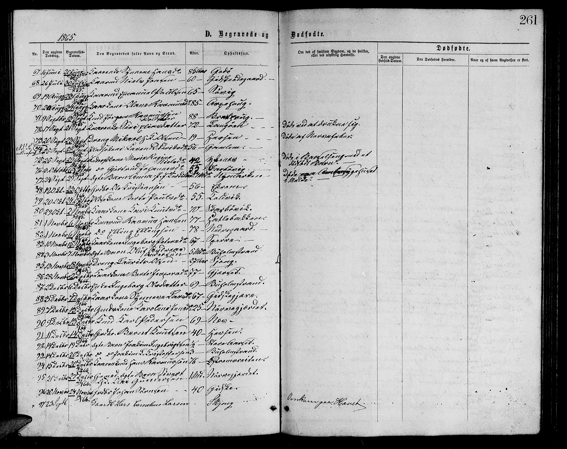 Ministerialprotokoller, klokkerbøker og fødselsregistre - Møre og Romsdal, AV/SAT-A-1454/528/L0428: Parish register (copy) no. 528C09, 1864-1880, p. 261