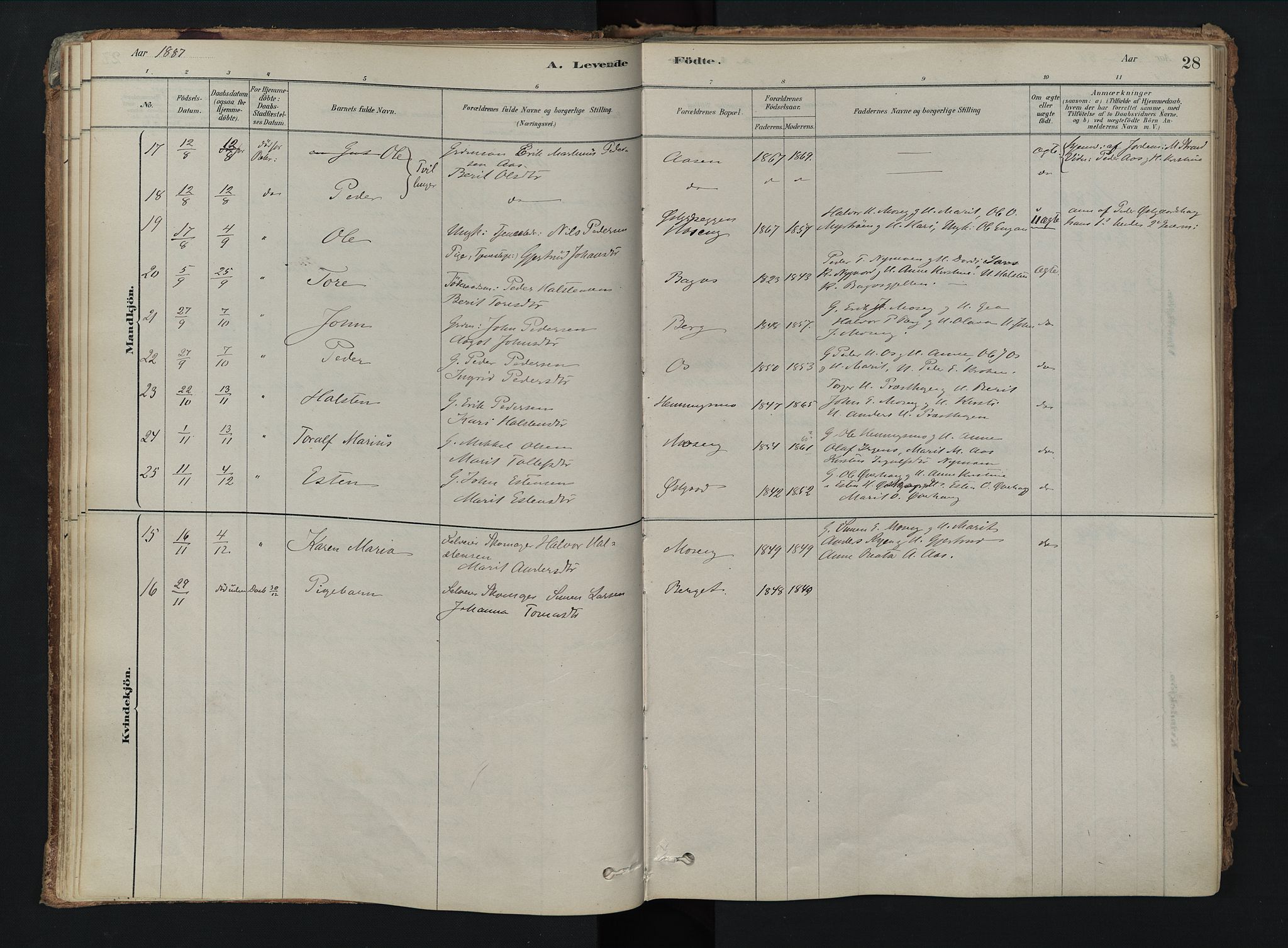 Tolga prestekontor, AV/SAH-PREST-062/K/L0008: Parish register (official) no. 8, 1877-1910, p. 28