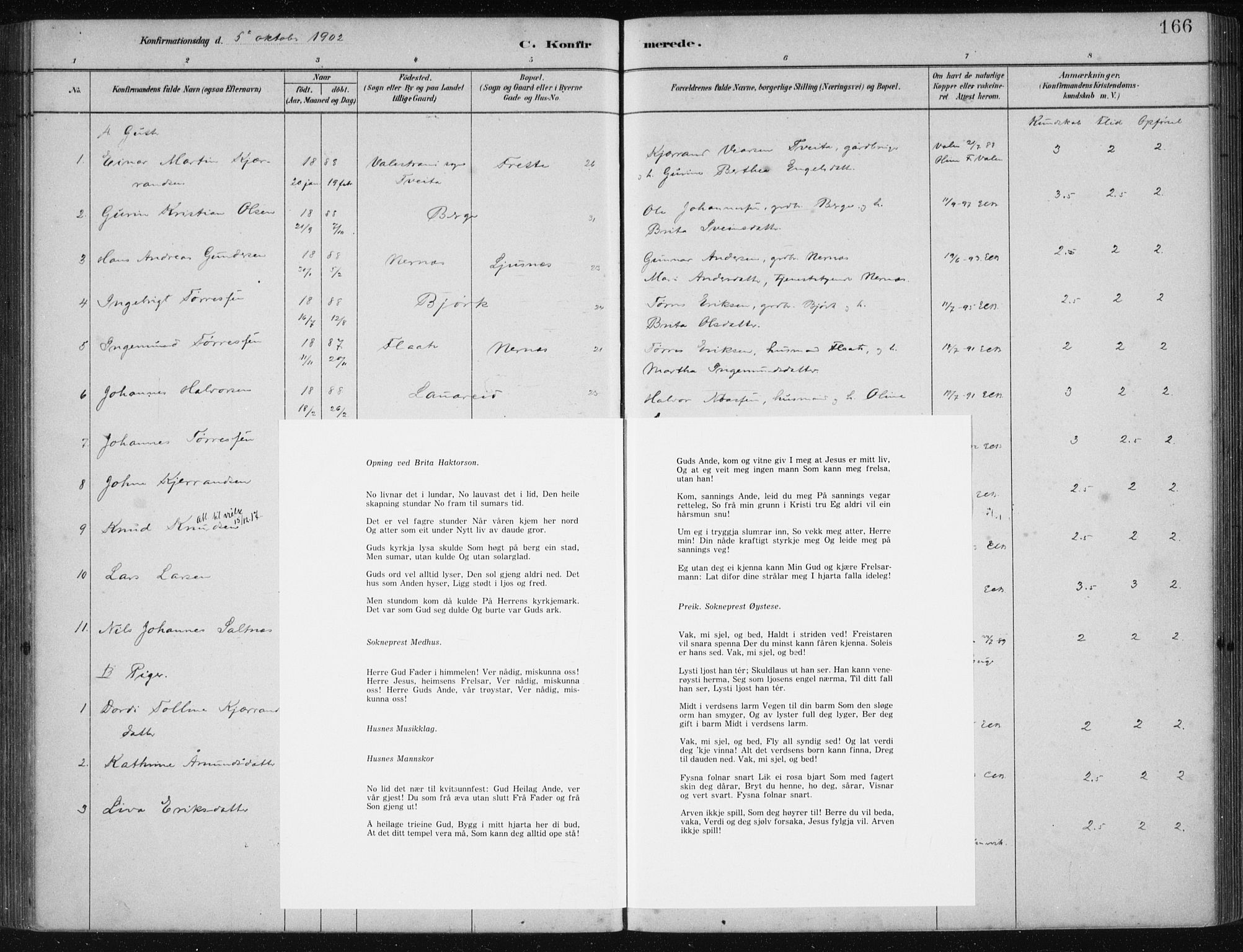 Etne sokneprestembete, AV/SAB-A-75001/H/Haa: Parish register (official) no. D  1, 1879-1919, p. 166