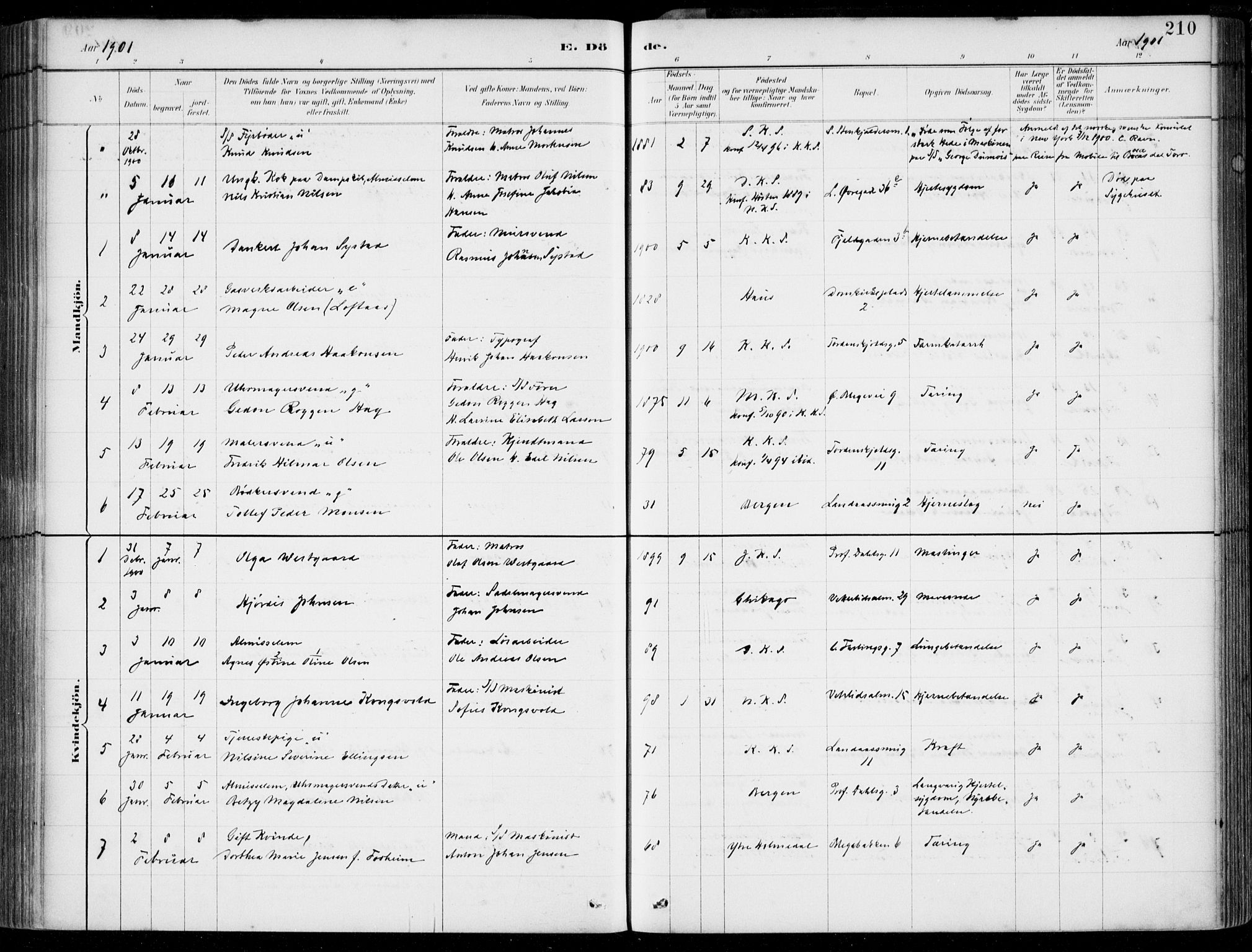Korskirken sokneprestembete, SAB/A-76101/H/Hab: Parish register (copy) no. E 4, 1884-1910, p. 210