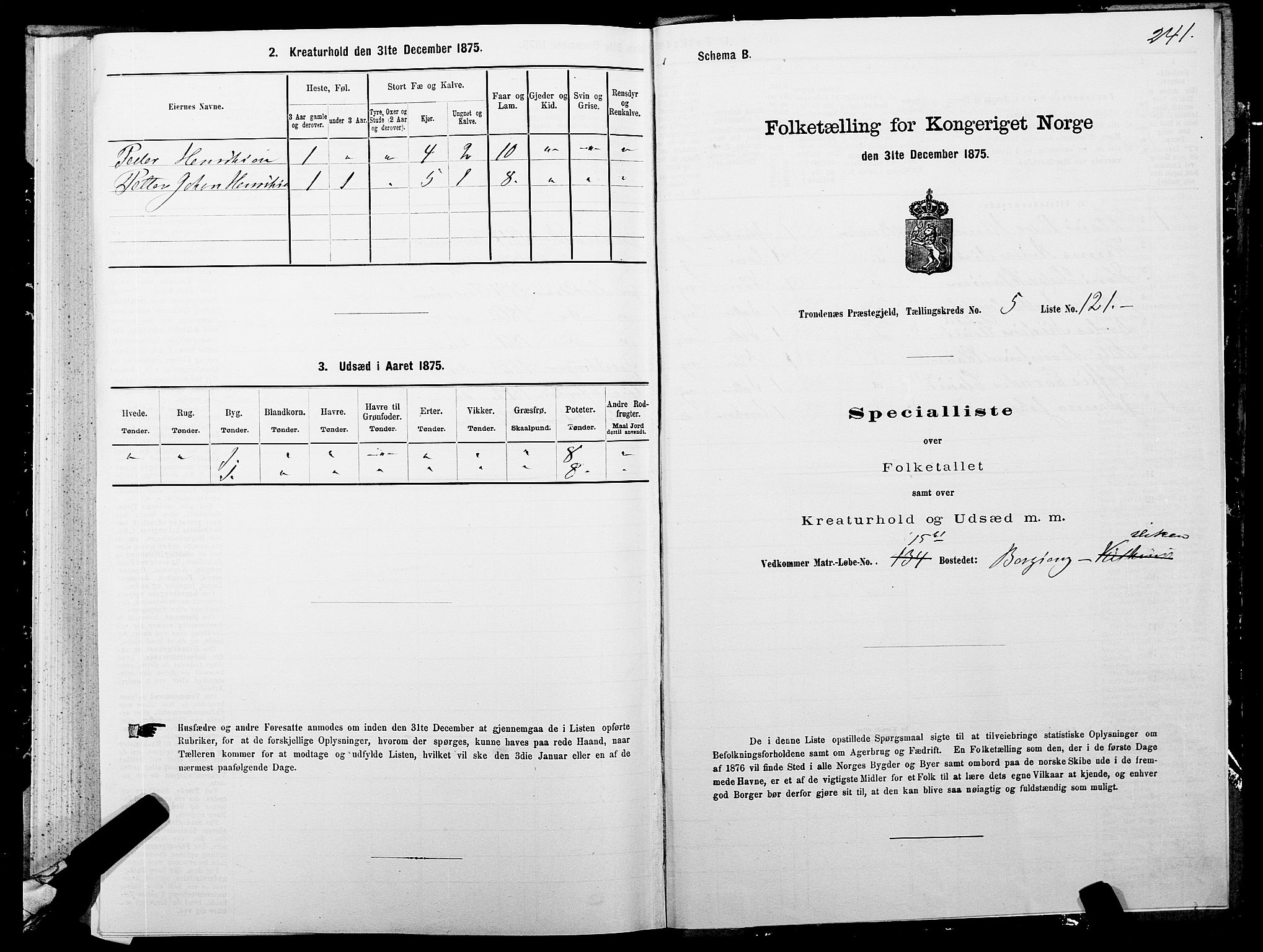 SATØ, 1875 census for 1914P Trondenes, 1875, p. 5241