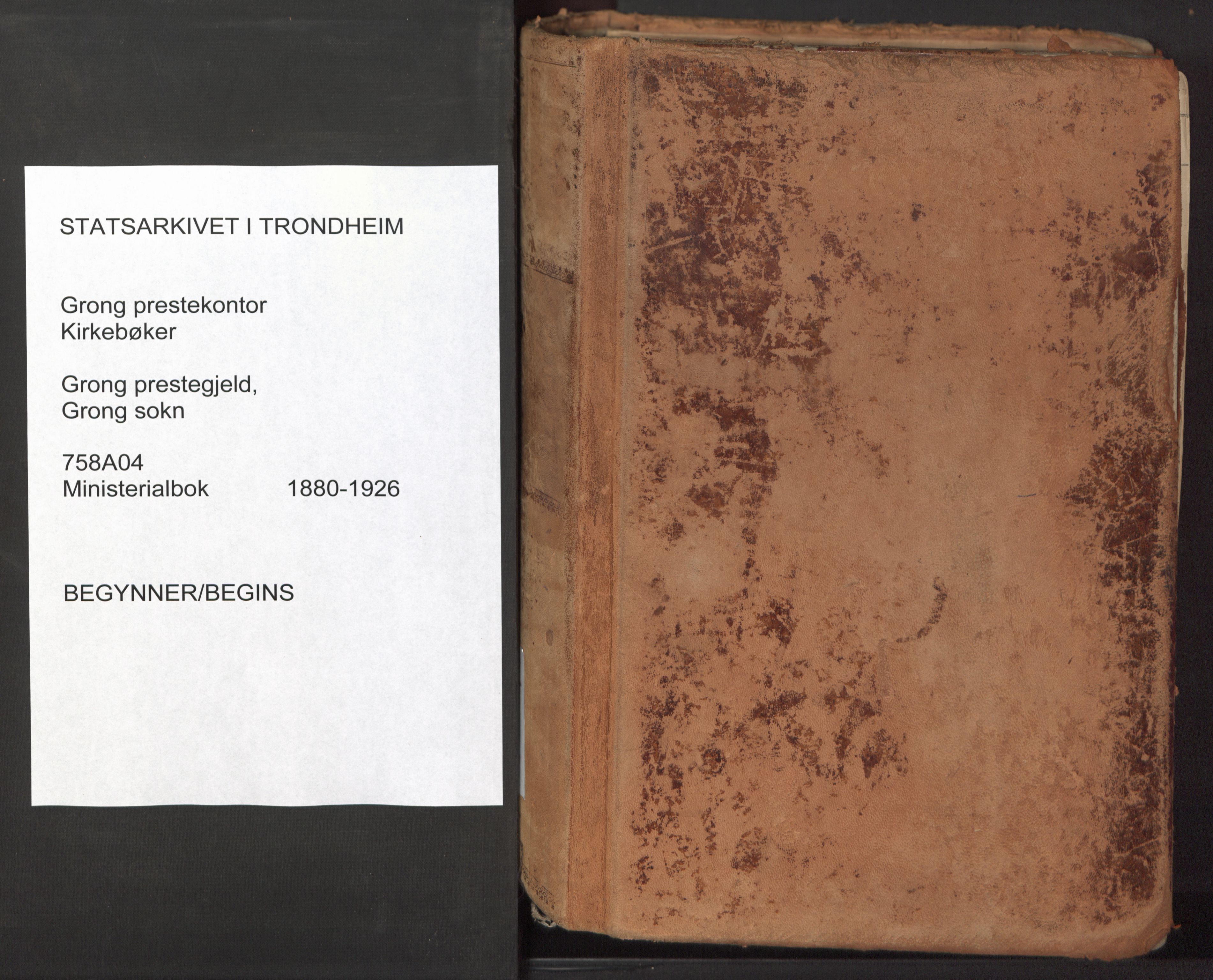 Ministerialprotokoller, klokkerbøker og fødselsregistre - Nord-Trøndelag, SAT/A-1458/758/L0519: Parish register (official) no. 758A04, 1880-1926