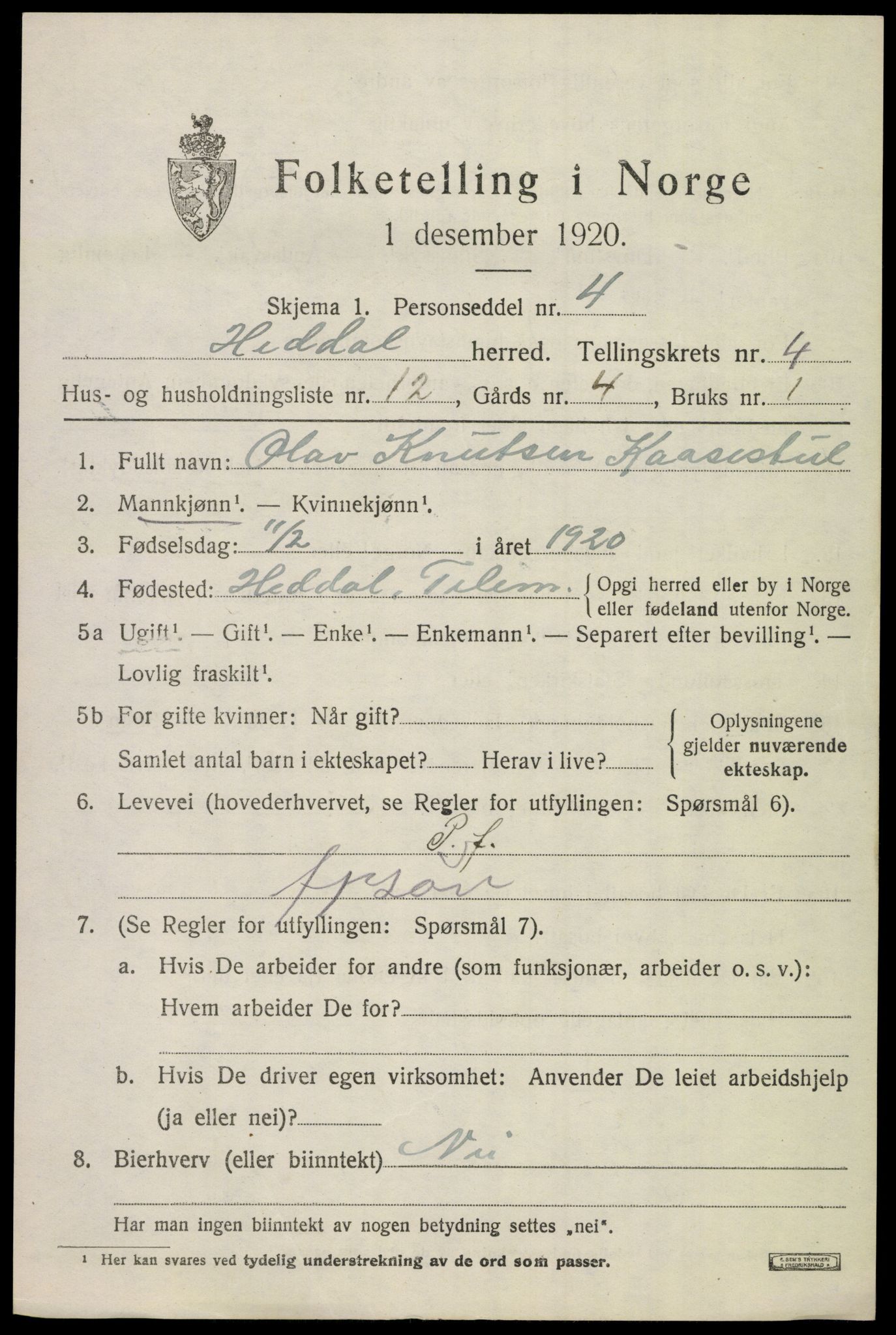 SAKO, 1920 census for Heddal, 1920, p. 4578