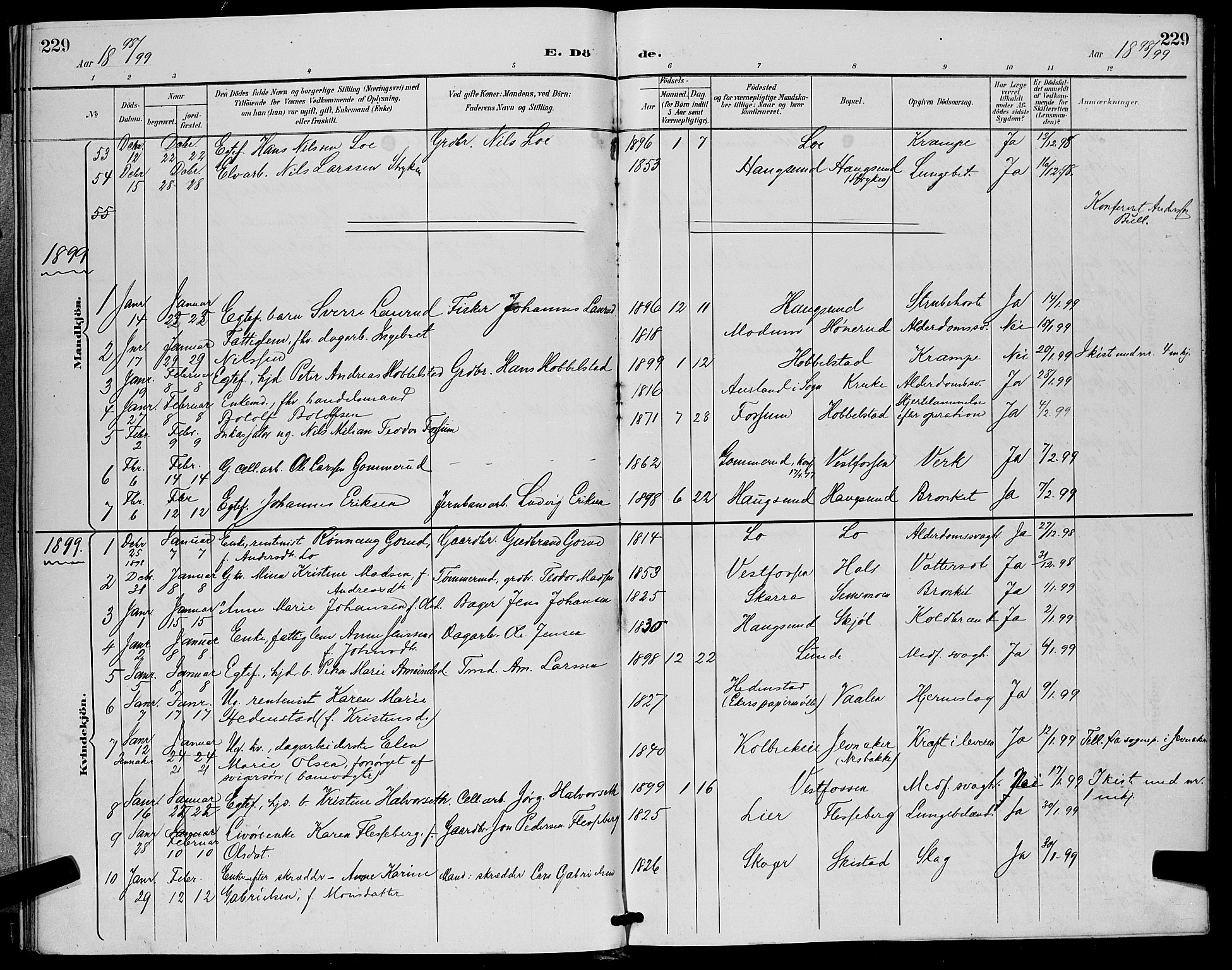 Eiker kirkebøker, SAKO/A-4/G/Ga/L0007: Parish register (copy) no. I 7, 1893-1902, p. 229
