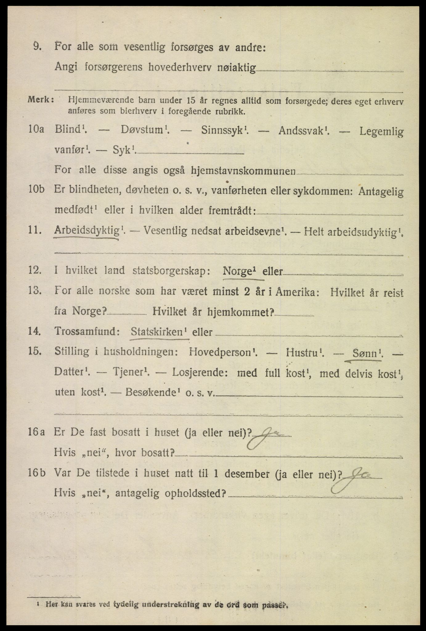 SAH, 1920 census for Nord-Aurdal, 1920, p. 11731