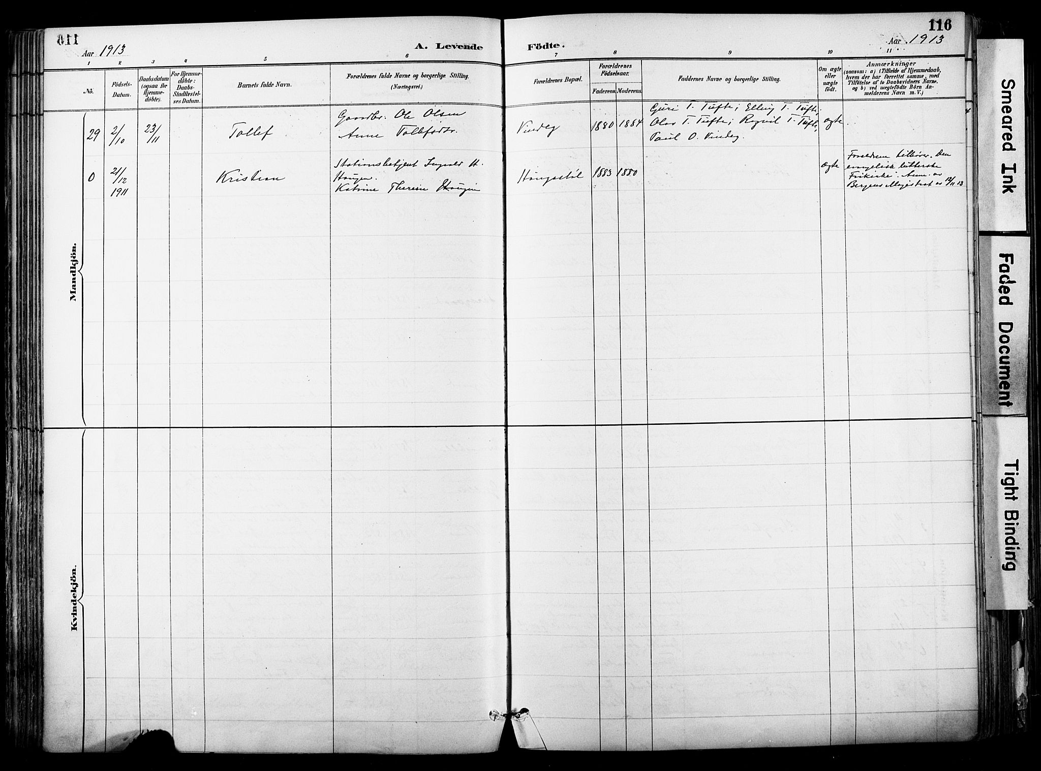 Hol kirkebøker, AV/SAKO-A-227/F/Fa/L0003: Parish register (official) no. I 3, 1887-1918, p. 116