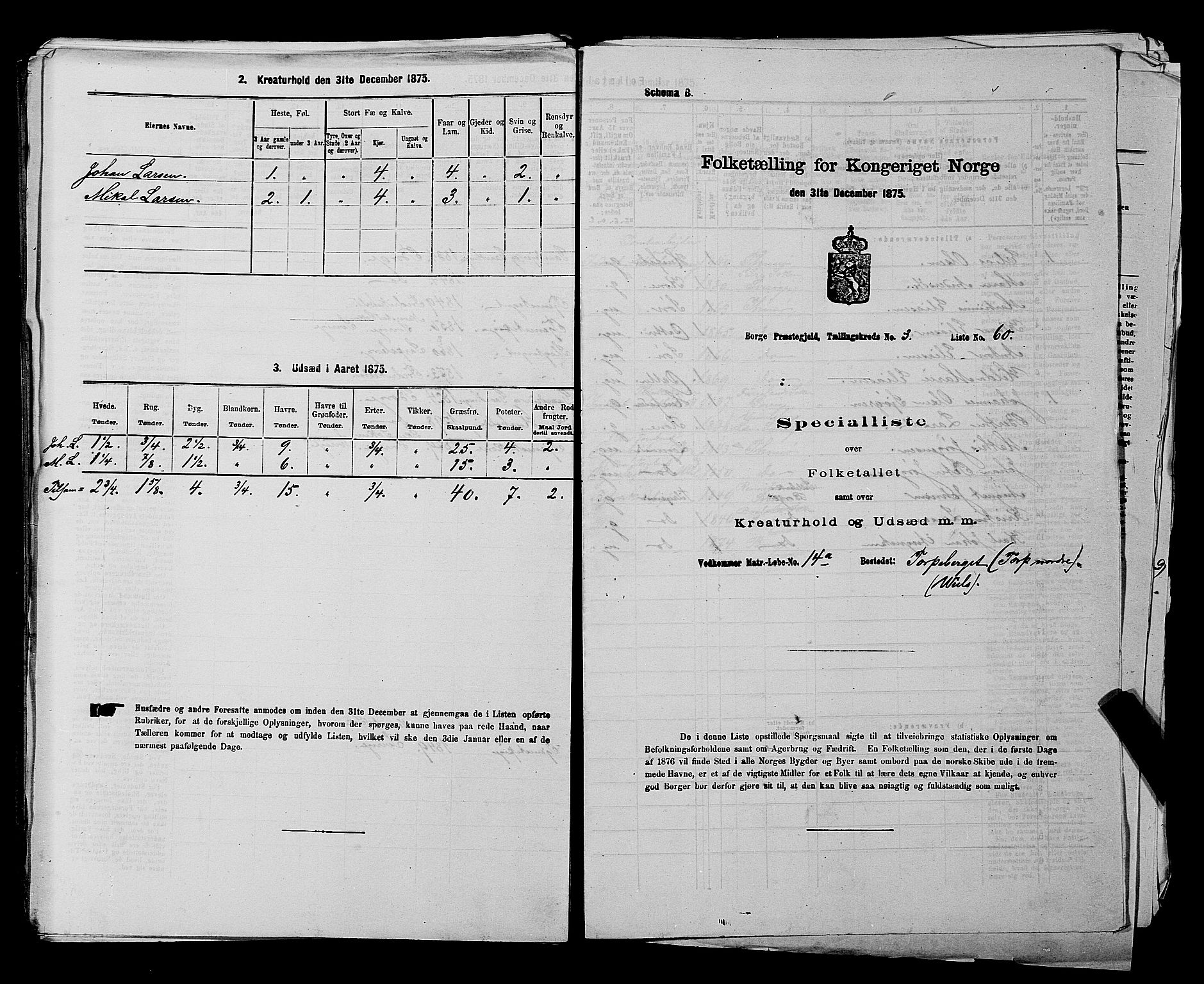 RA, 1875 census for 0113P Borge, 1875, p. 510