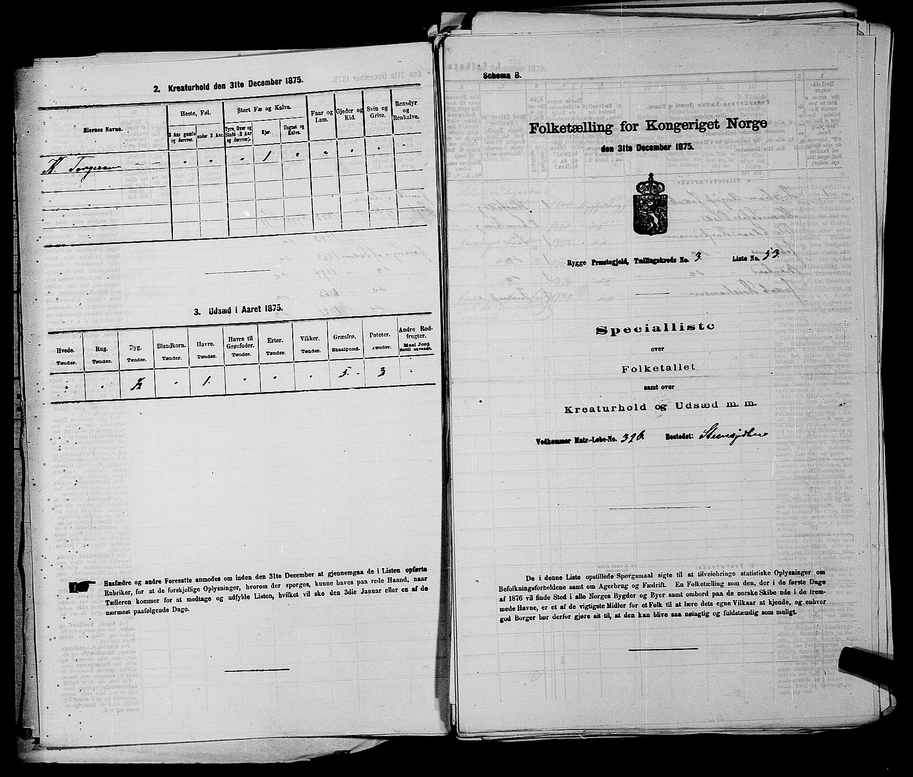 RA, 1875 census for 0136P Rygge, 1875, p. 468