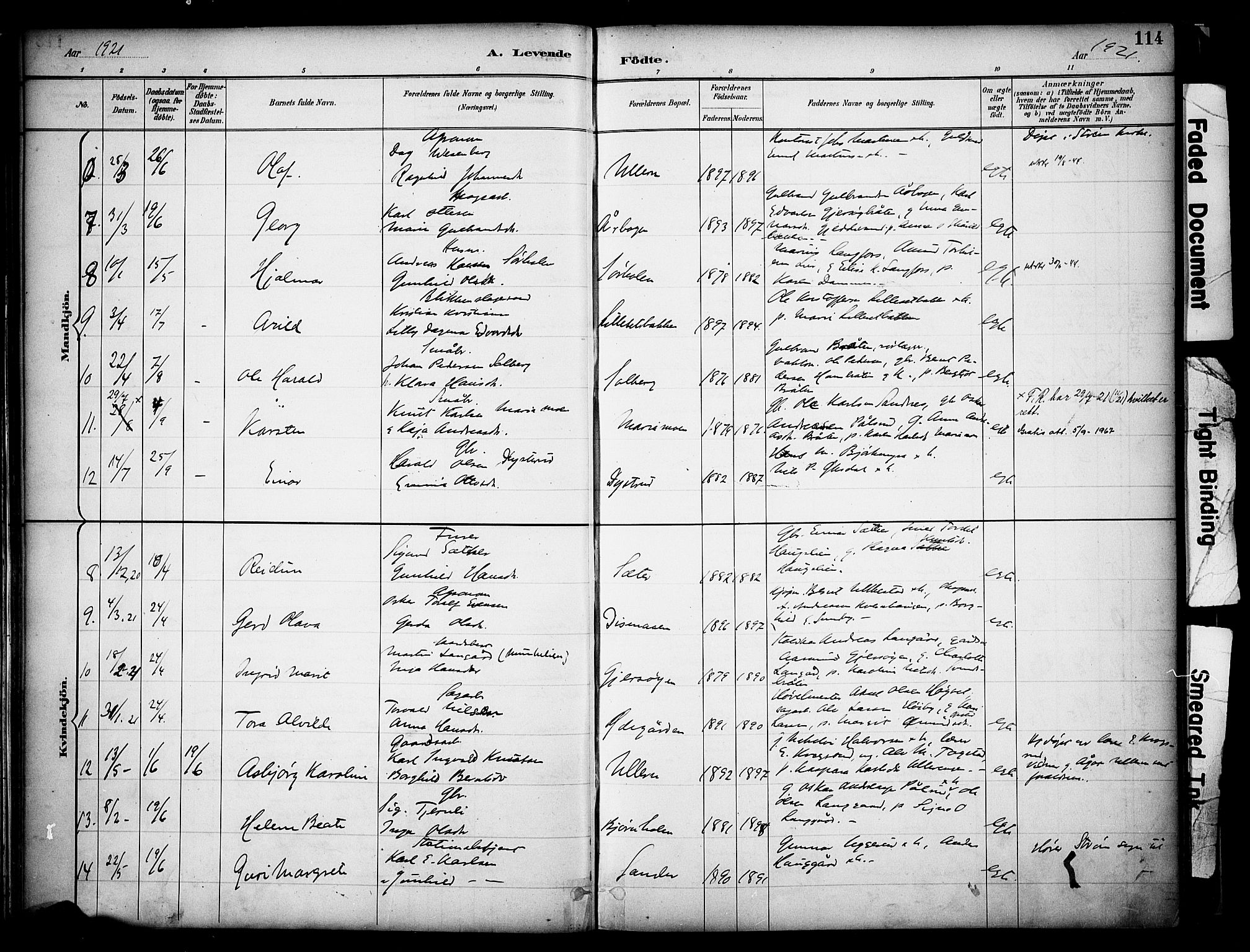 Sør-Odal prestekontor, SAH/PREST-030/H/Ha/Haa/L0008: Parish register (official) no. 8, 1886-1922, p. 114