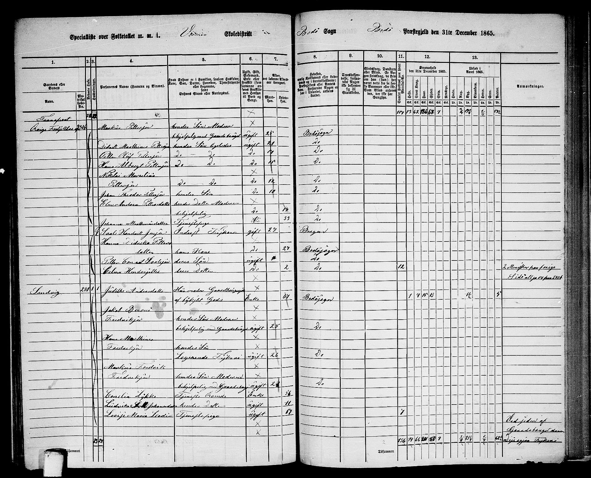 RA, 1865 census for Bodø/Bodø, 1865, p. 142