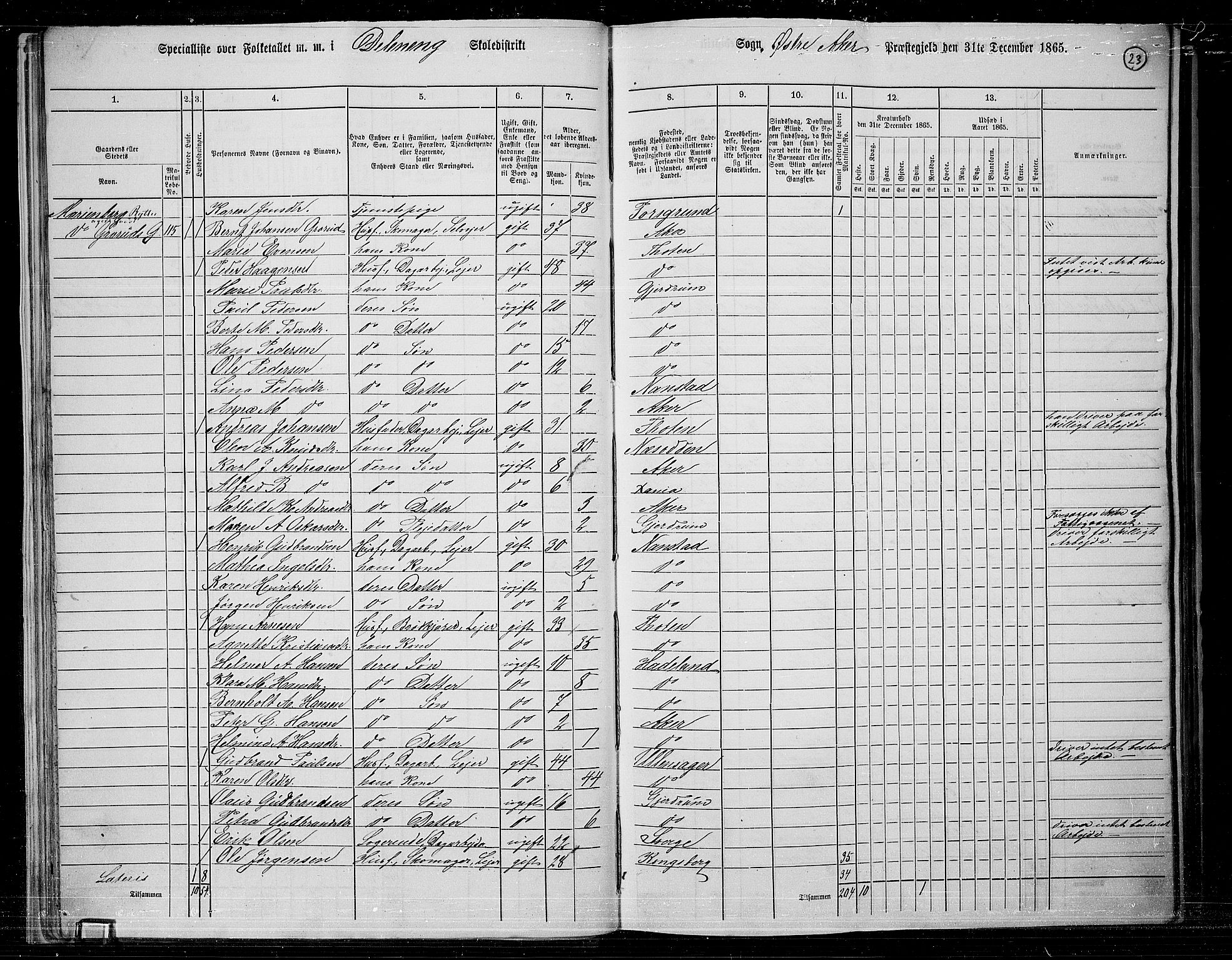 RA, 1865 census for Østre Aker, 1865, p. 22