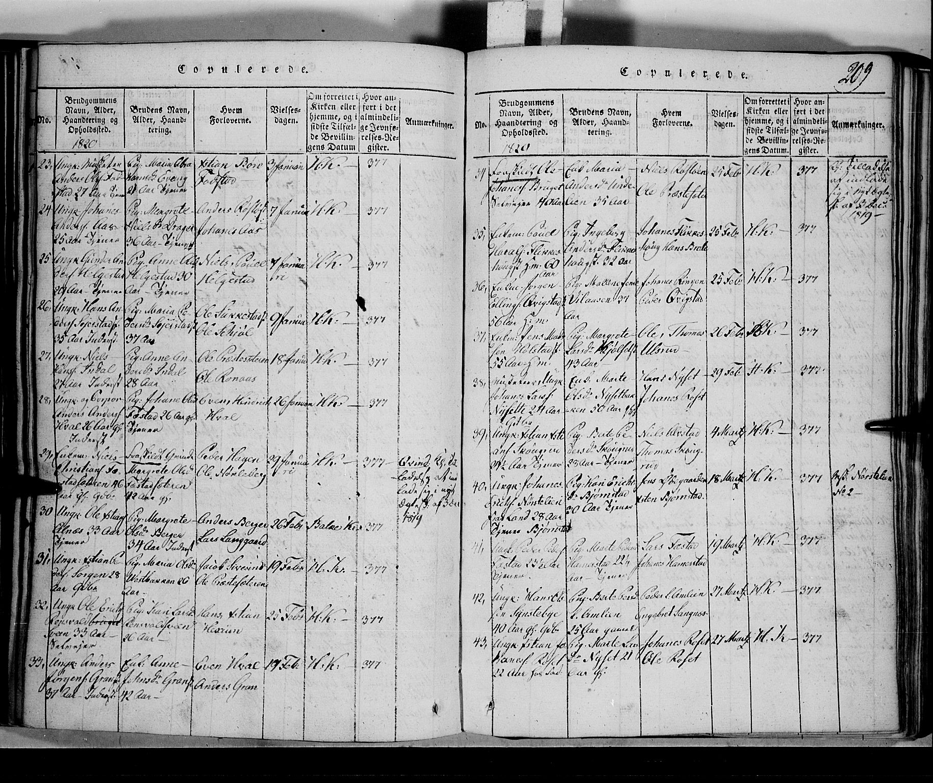 Toten prestekontor, SAH/PREST-102/H/Ha/Hab/L0001: Parish register (copy) no. 1, 1814-1820, p. 209