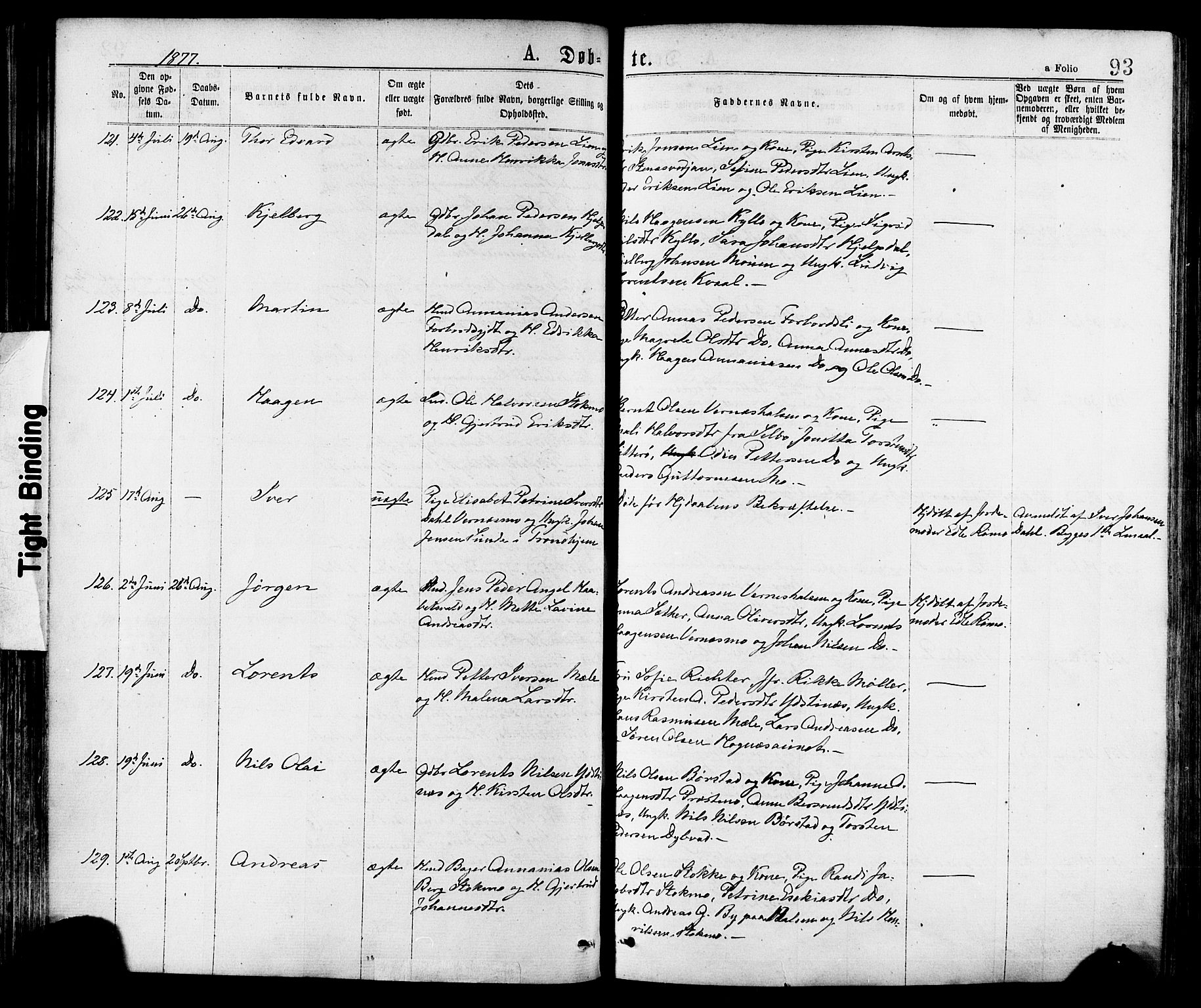 Ministerialprotokoller, klokkerbøker og fødselsregistre - Nord-Trøndelag, AV/SAT-A-1458/709/L0076: Parish register (official) no. 709A16, 1871-1879, p. 93