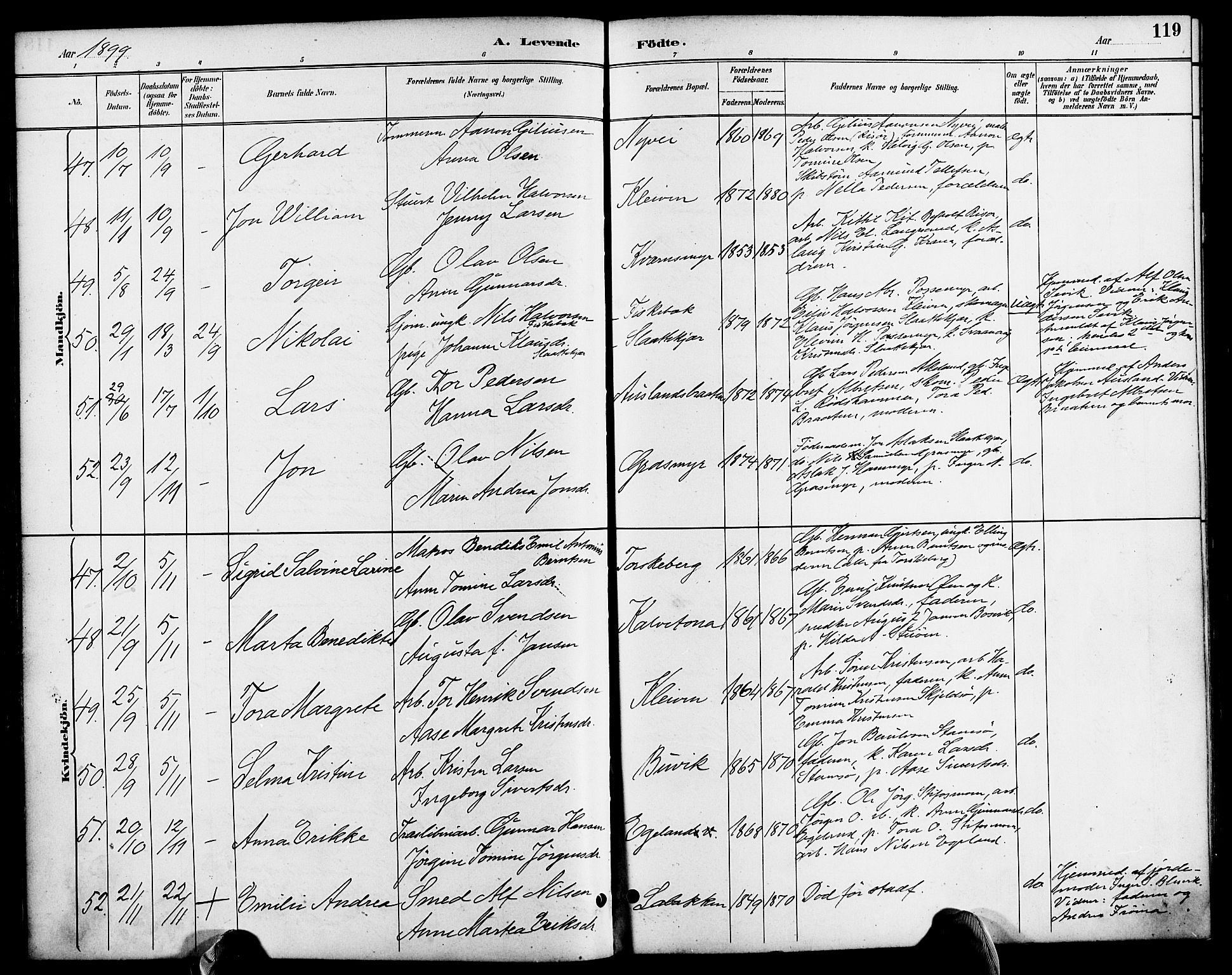 Søndeled sokneprestkontor, AV/SAK-1111-0038/F/Fa/L0005: Parish register (official) no. A 5, 1889-1899, p. 119