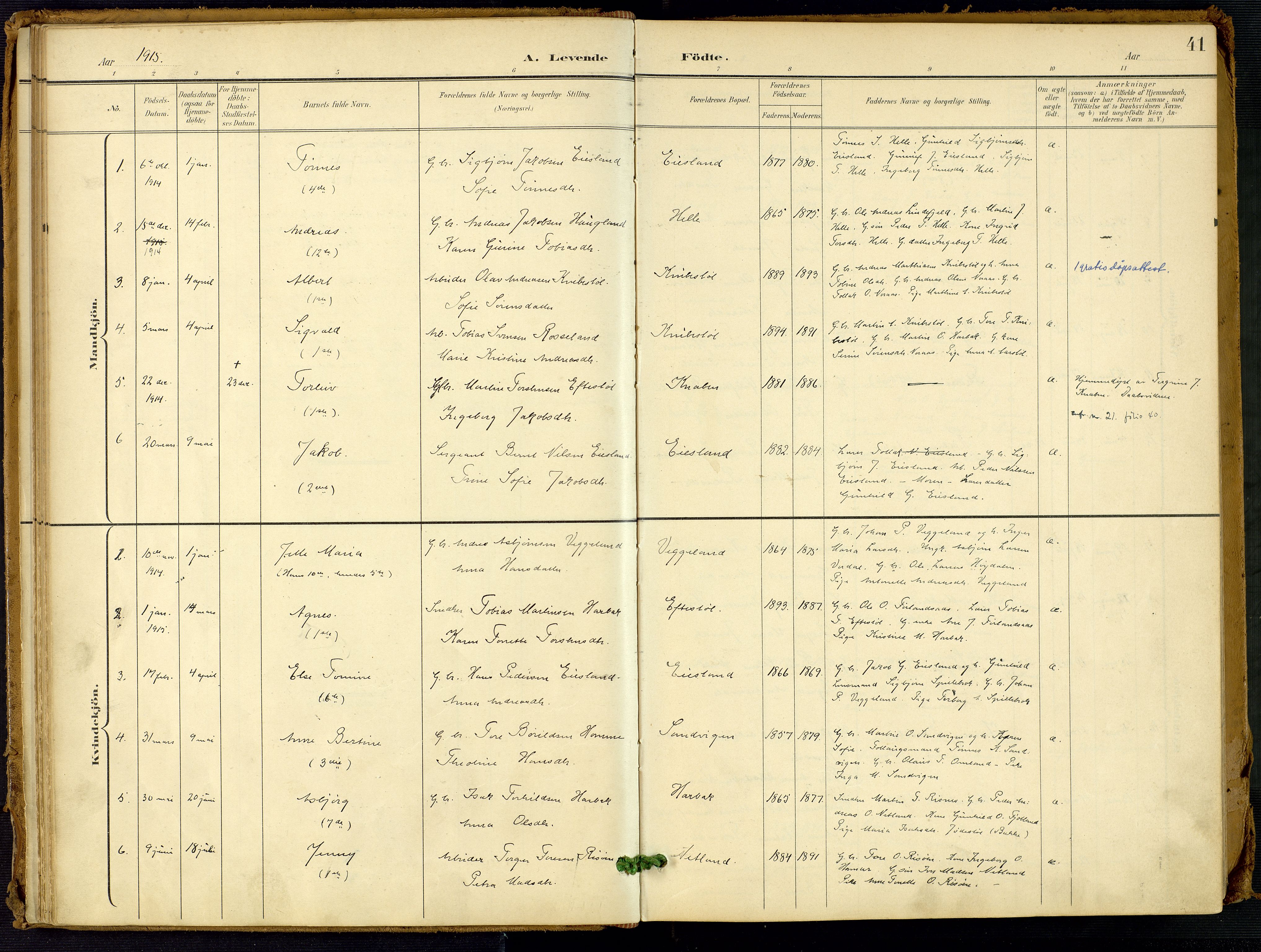 Fjotland sokneprestkontor, SAK/1111-0010/F/Fa/L0003: Parish register (official) no. A 3, 1899-1917, p. 41
