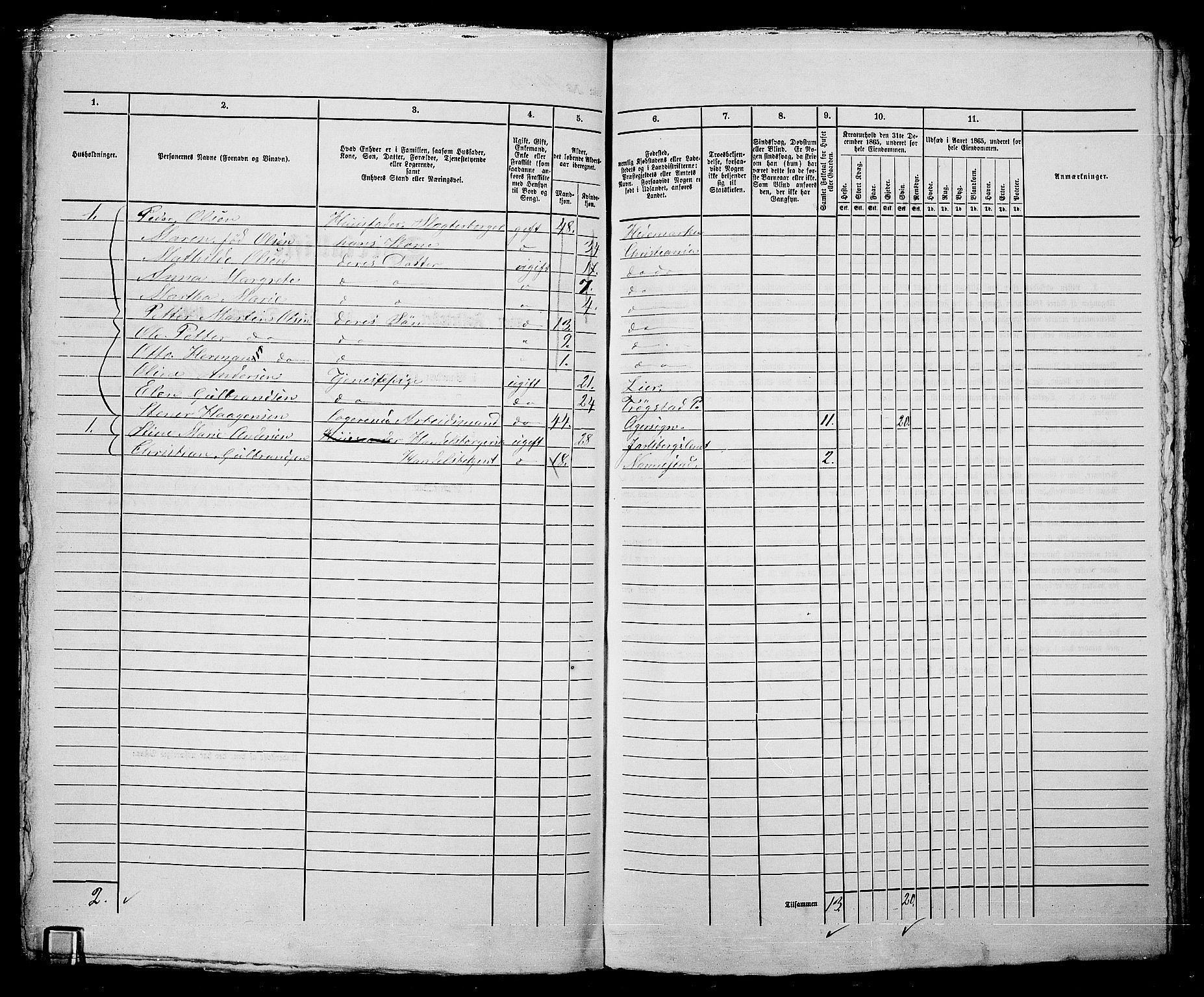 RA, 1865 census for Kristiania, 1865, p. 4263