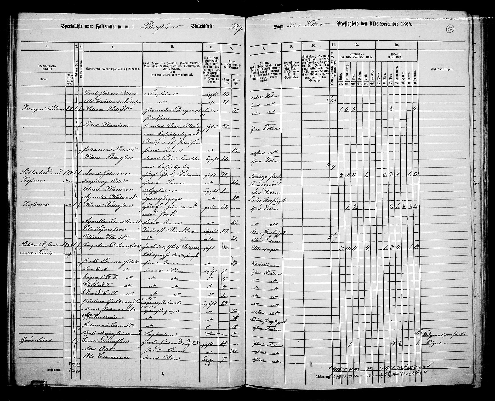 RA, 1865 census for Østre Toten, 1865, p. 209